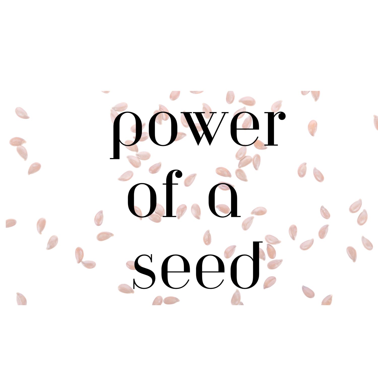 Power of a Seed Sunday July 23, 2023