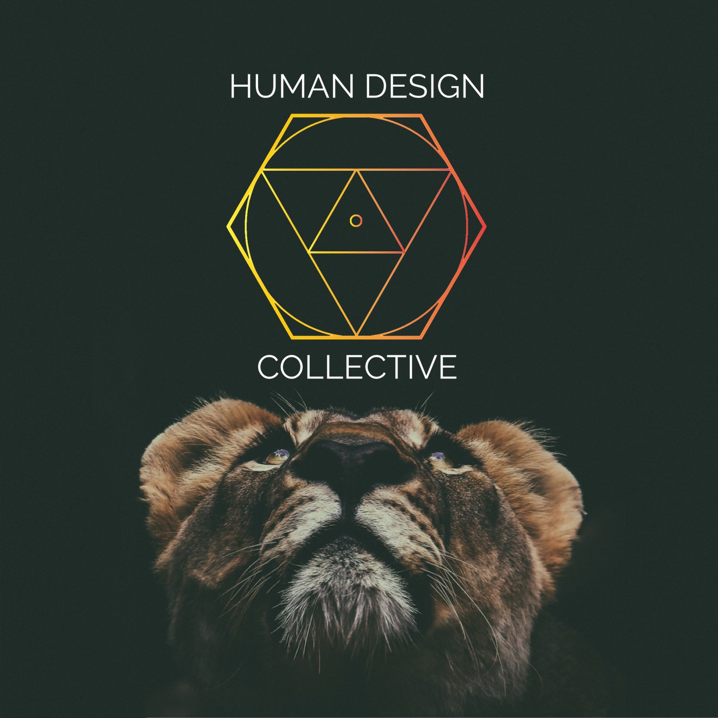 Human Design Collective Podcast 