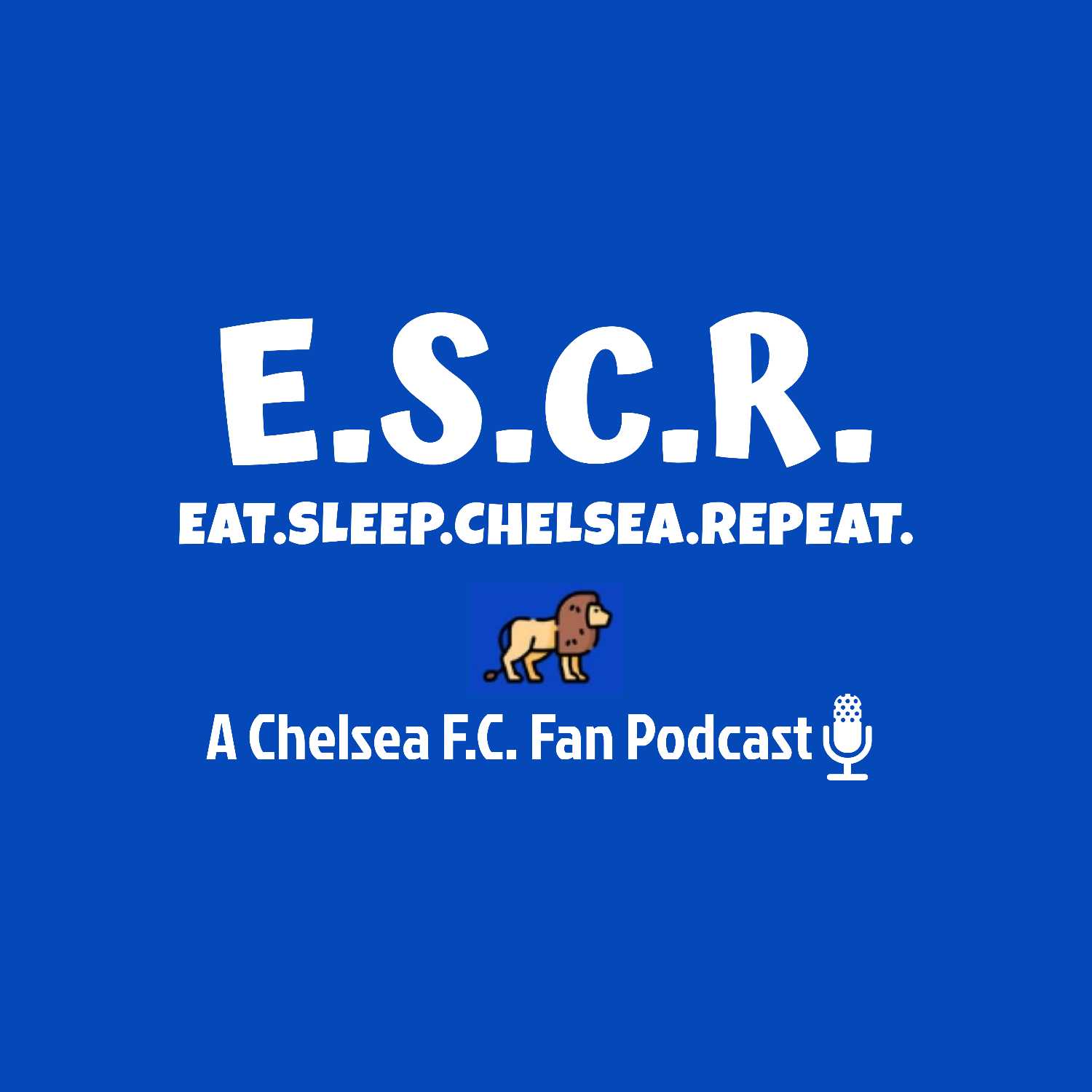 ESCR PRESEASON REVIEW/5-0 v WREXHAM, MAATSEN, GALLAGHER, NKUNKU, CHILWELL!/FORMATIONS/NEW SIGNINGS/POCH TACTICS/TRANSFER TALK! - LUKAKU NO WAY HOME?/BUILDING UP LAND FOR THE NEW STADIUM?+QUIZ!