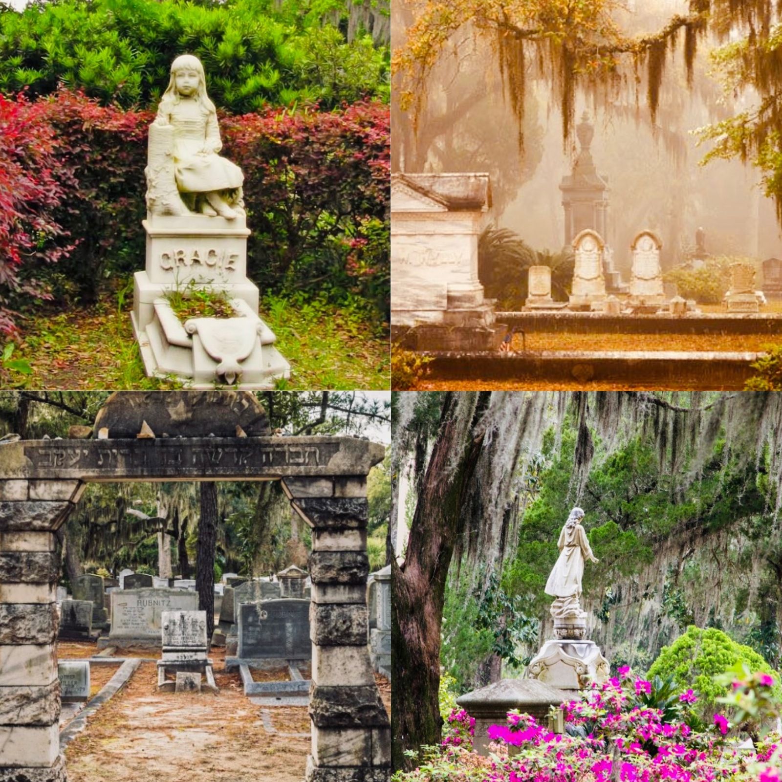 Dwelling With the Dead at Bonaventure Cemetery