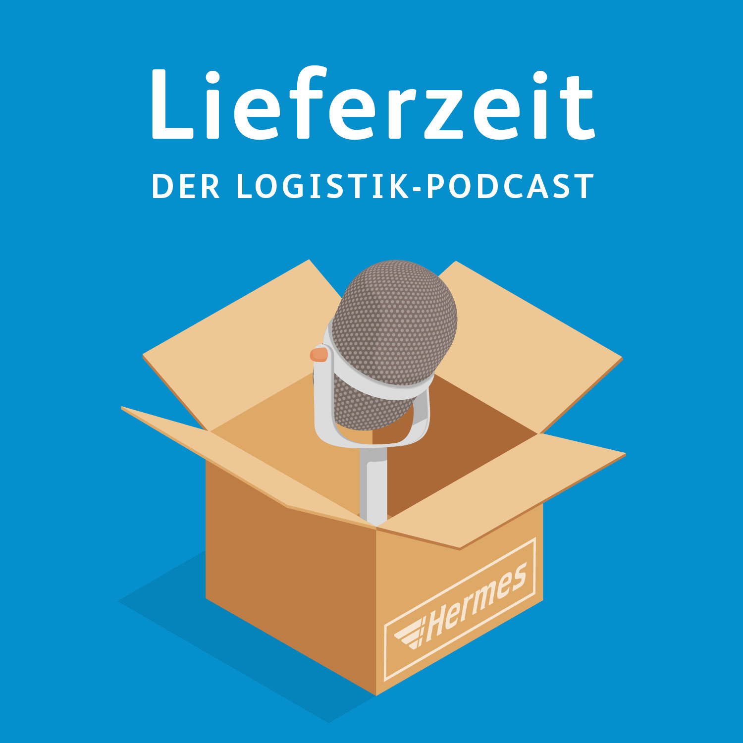 ⁣Zu langsam, zu teuer, schlechter Service? Die KEP-Branche im Check