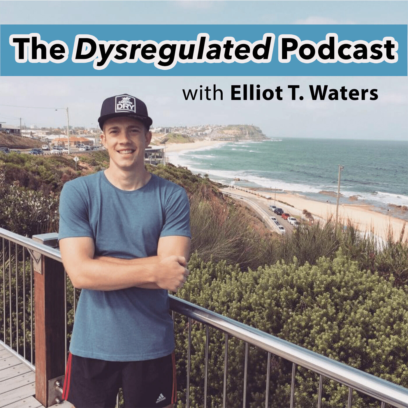 The Dysregulated Podcast 