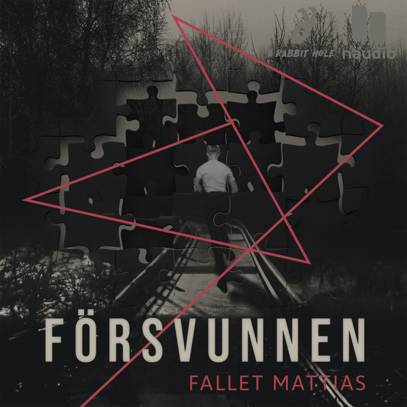 Försvunnen 