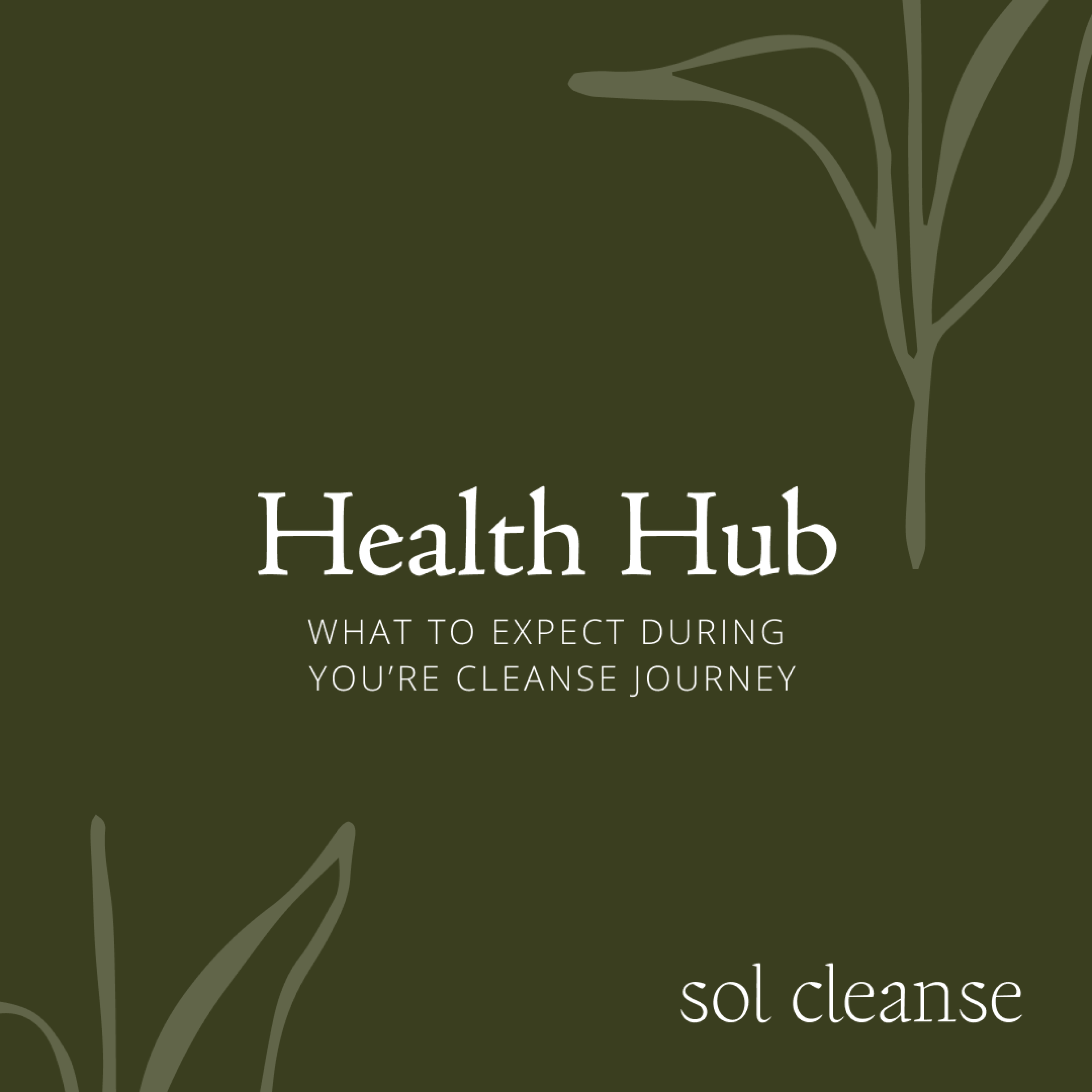 Health Hub: What to Expect during you’re Cleanse Journey