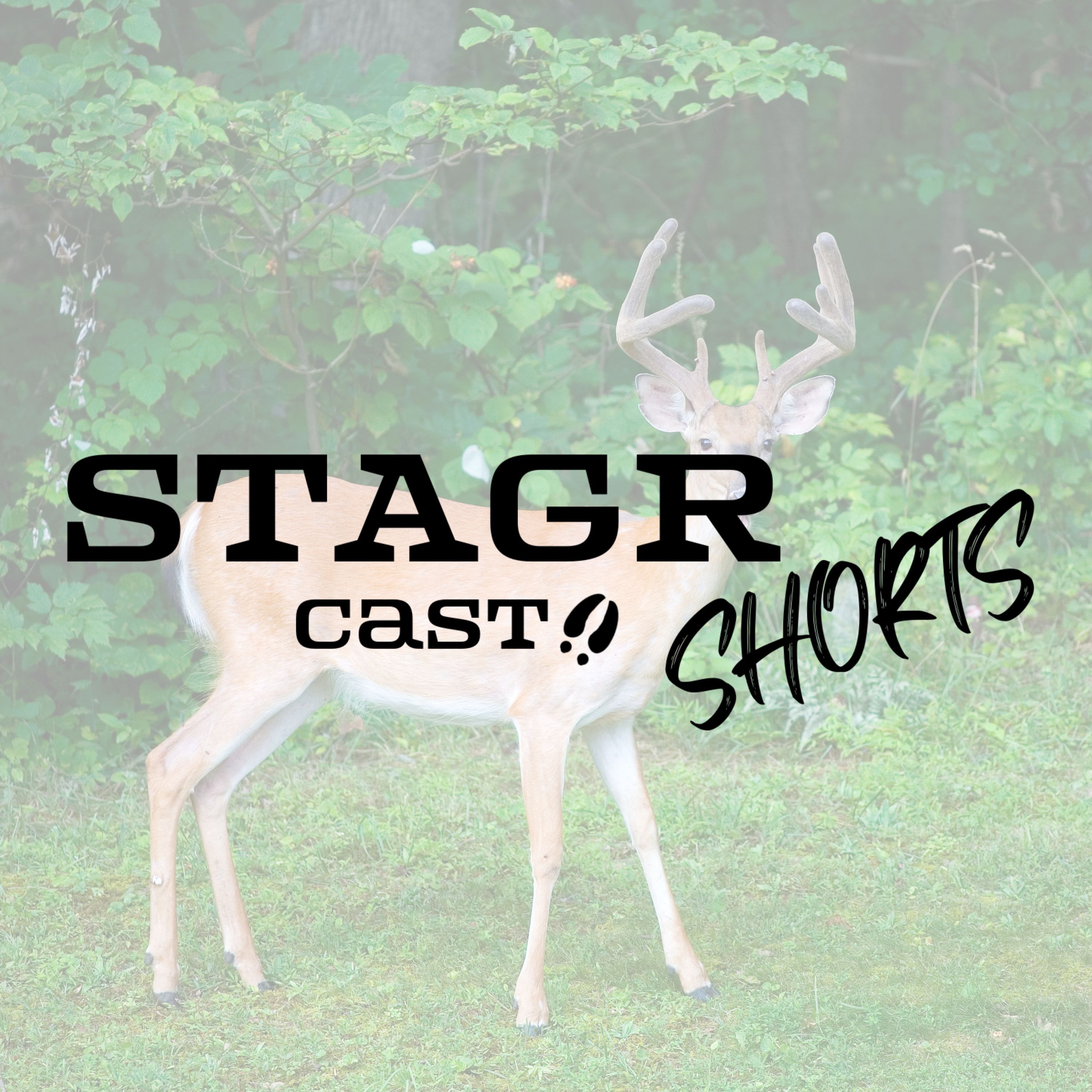 STAGR Cast Shorts #8