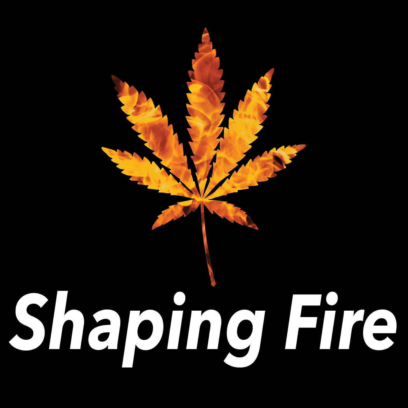 Shaping Fire 