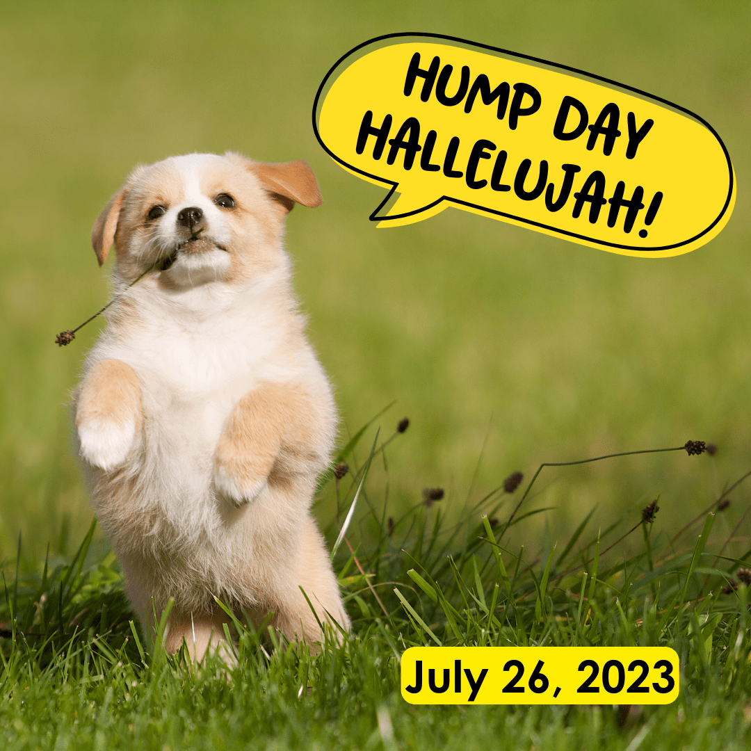 Hump Day Hallelujah!  July 26, 2023