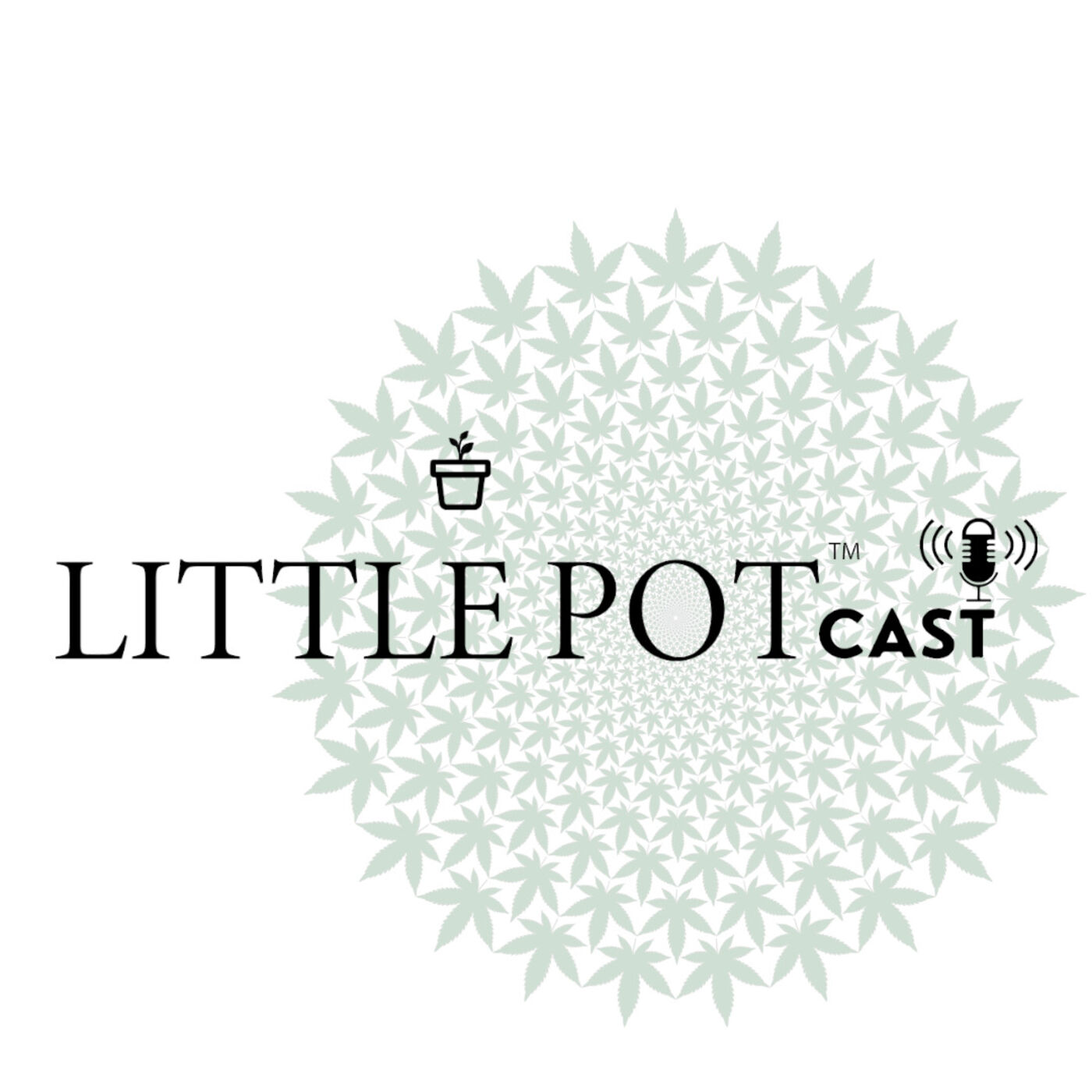 A Little Pot with DG Baggs