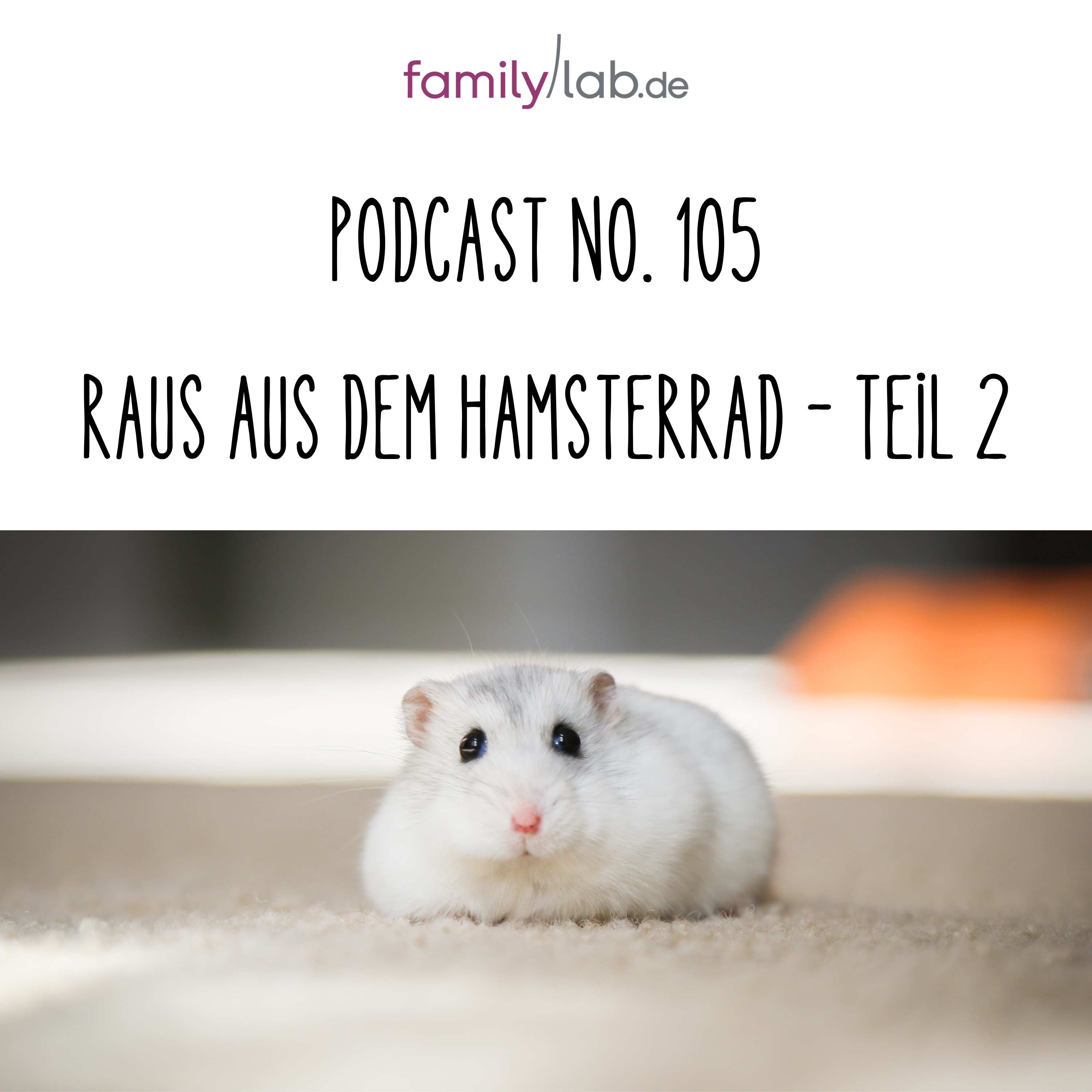 No. 105 – Raus aus dem Hamsterrad – Teil 2