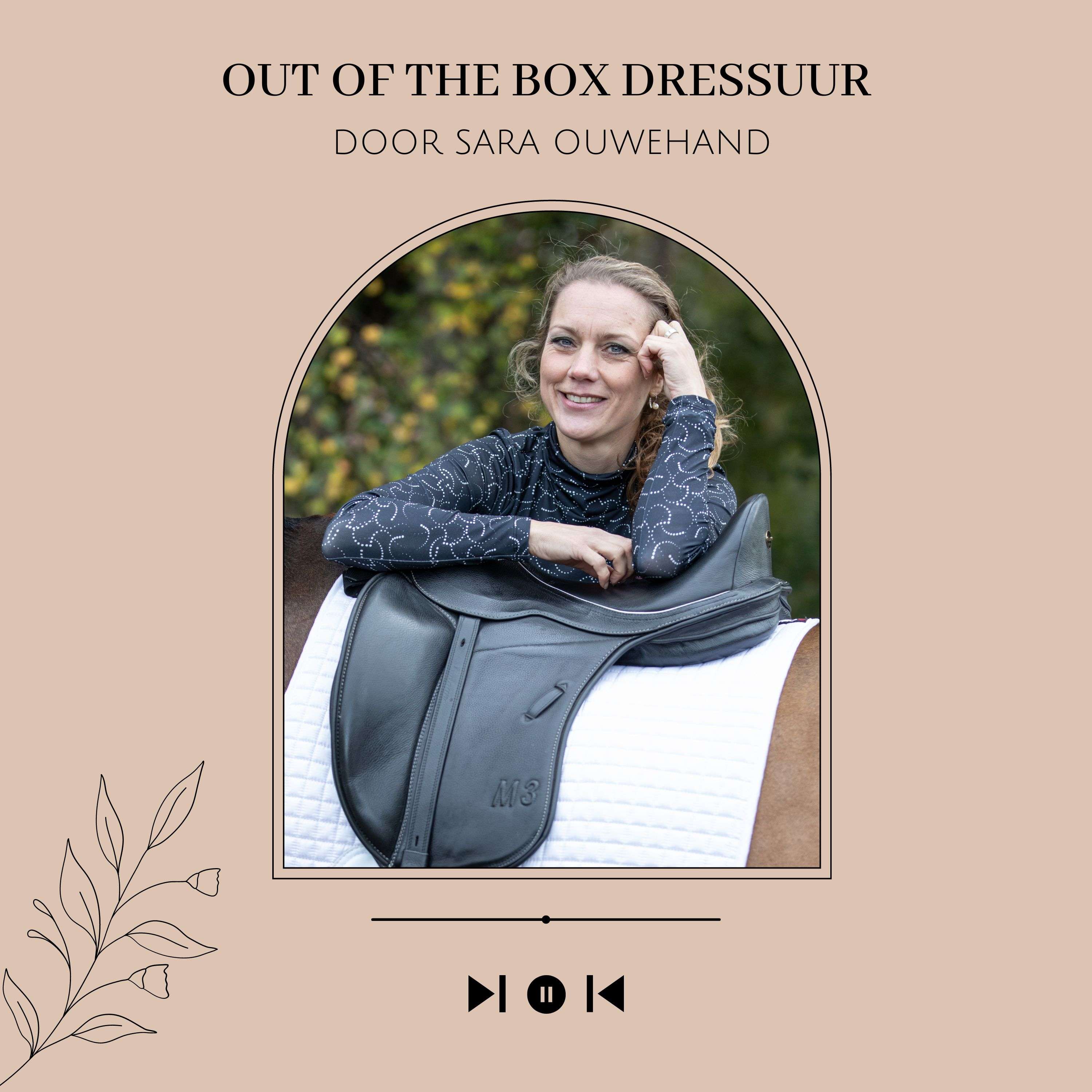 Out of the box Dressuur 