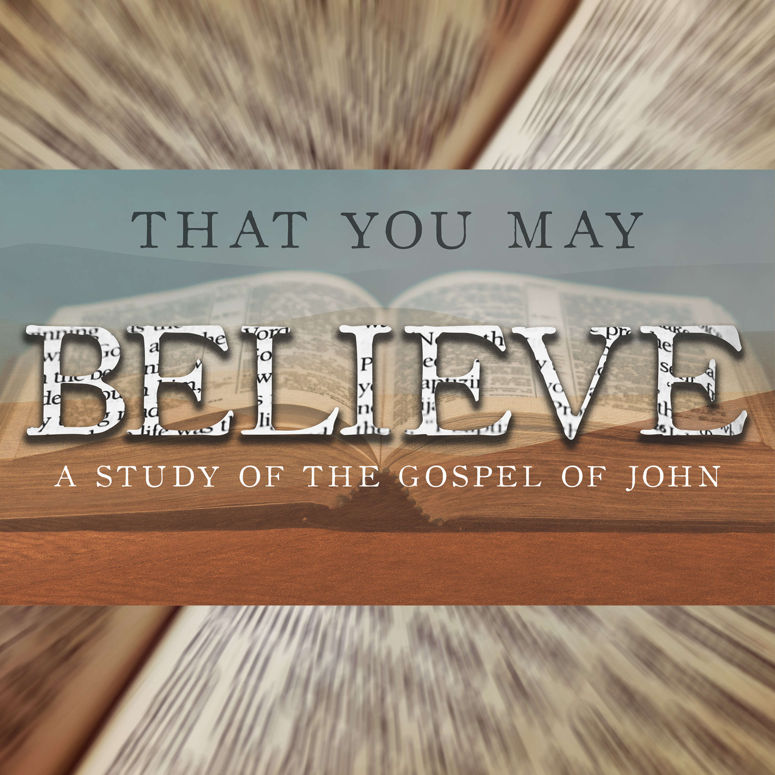 That You May Believe: A Study of the Gospel of John p.23