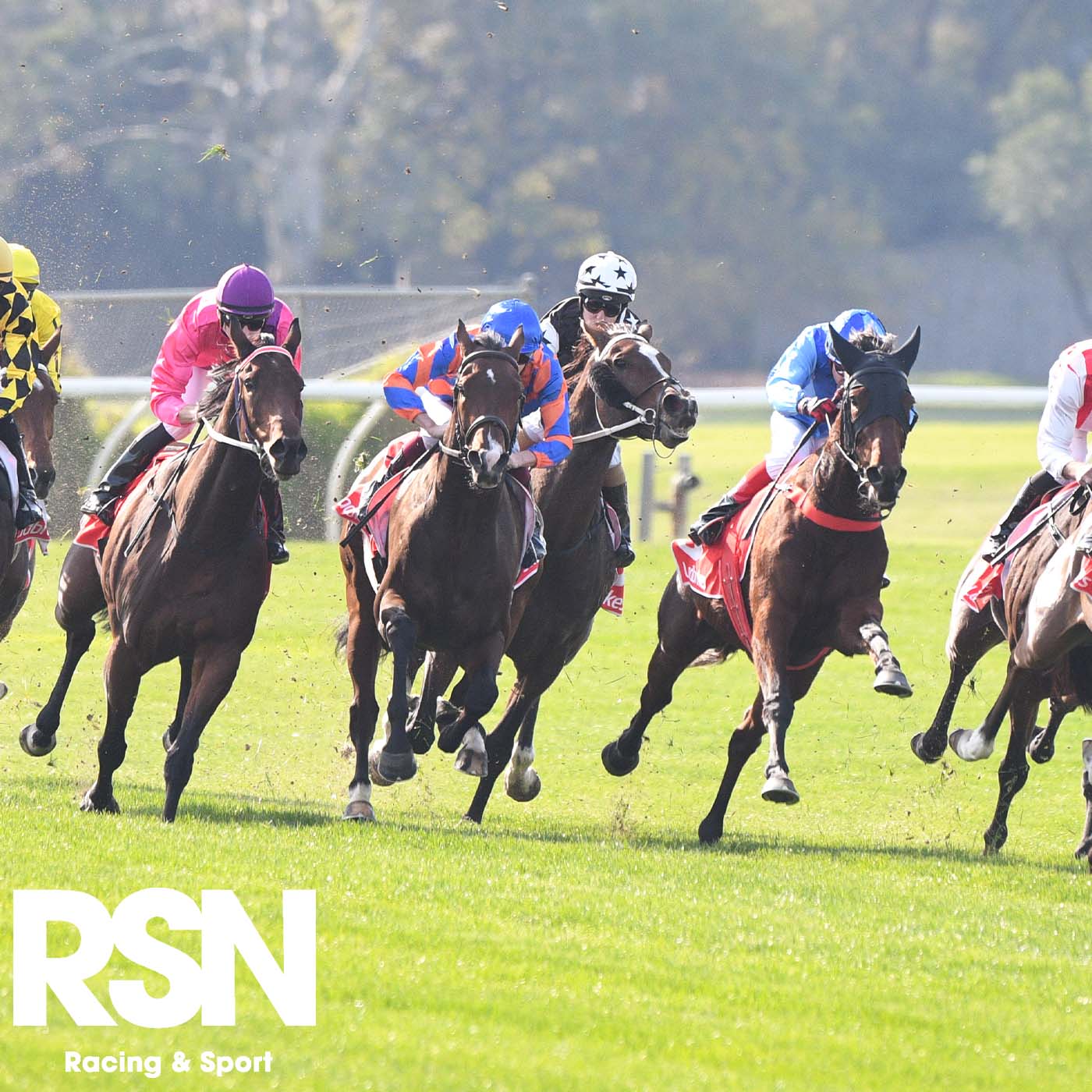 ⁣Fast Form - Sandown Hillside - 26th July 2023