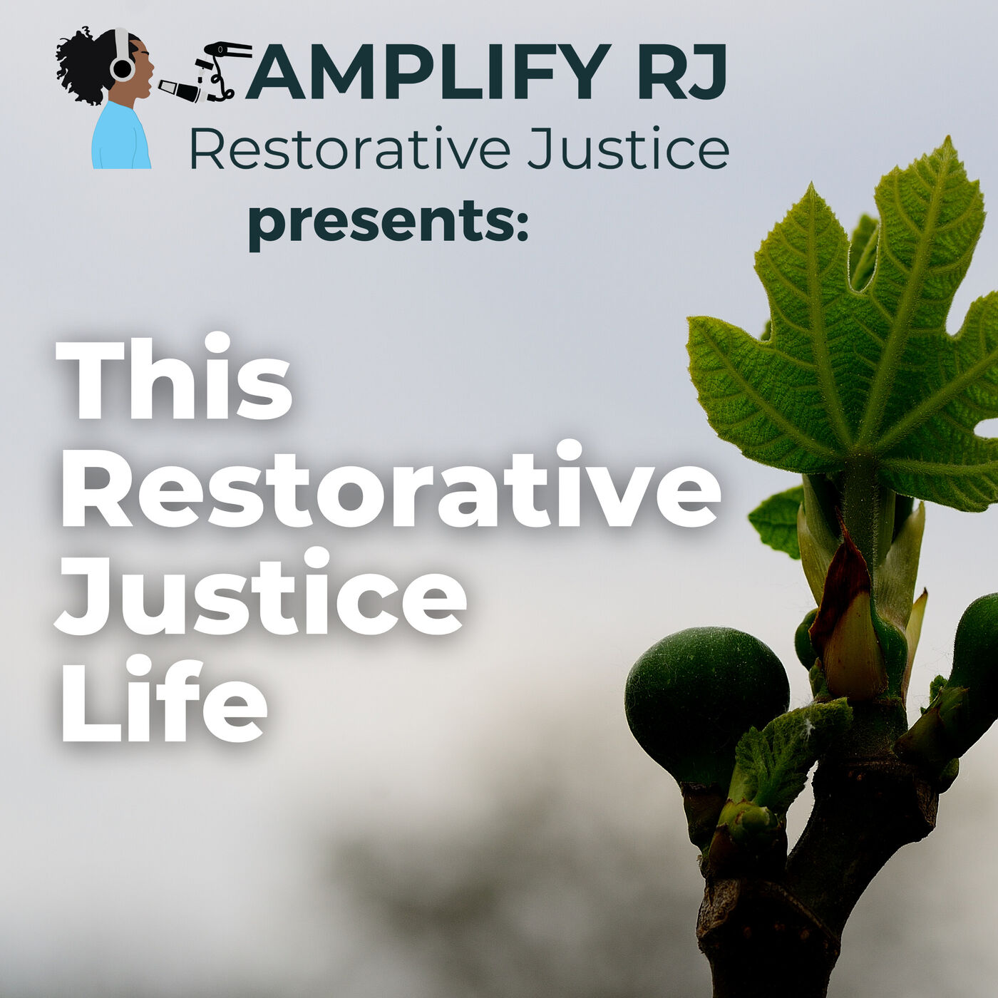 ⁣Abbott Elementary S1E13 "Zoo Balloon" w/ Felina Rodriguez (Restorative Justice Reflections)