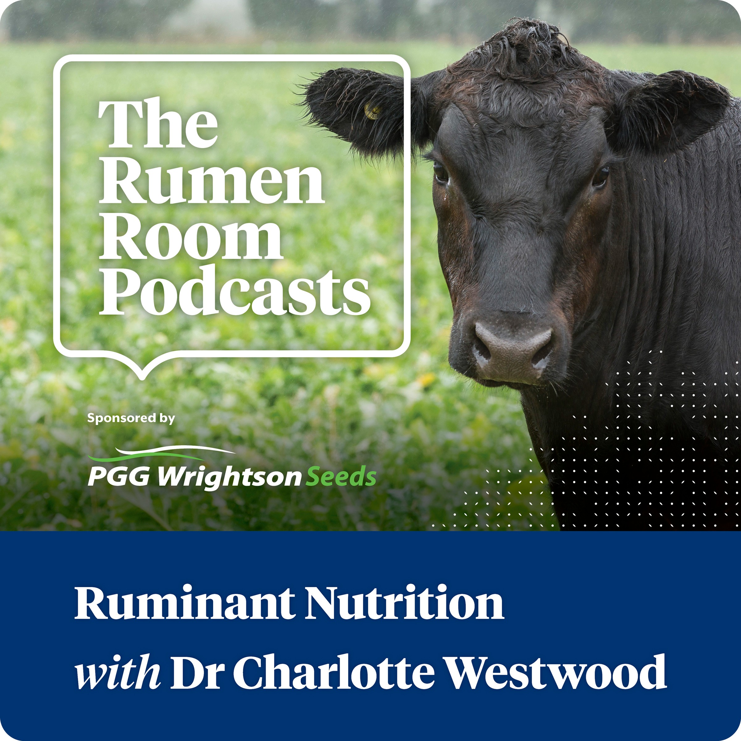 The Rumen Room Podcasts 