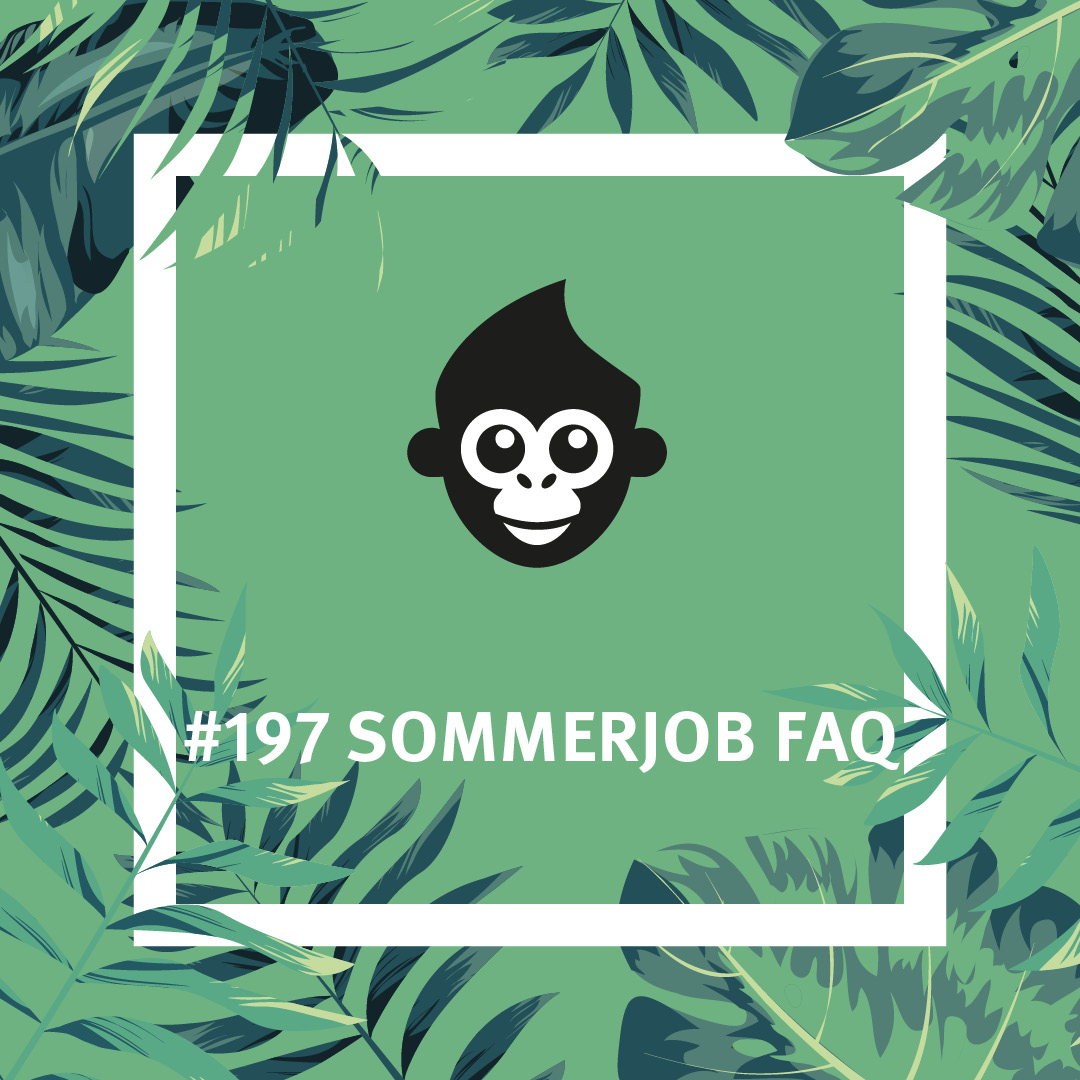 #197 Sommerjob FAQ