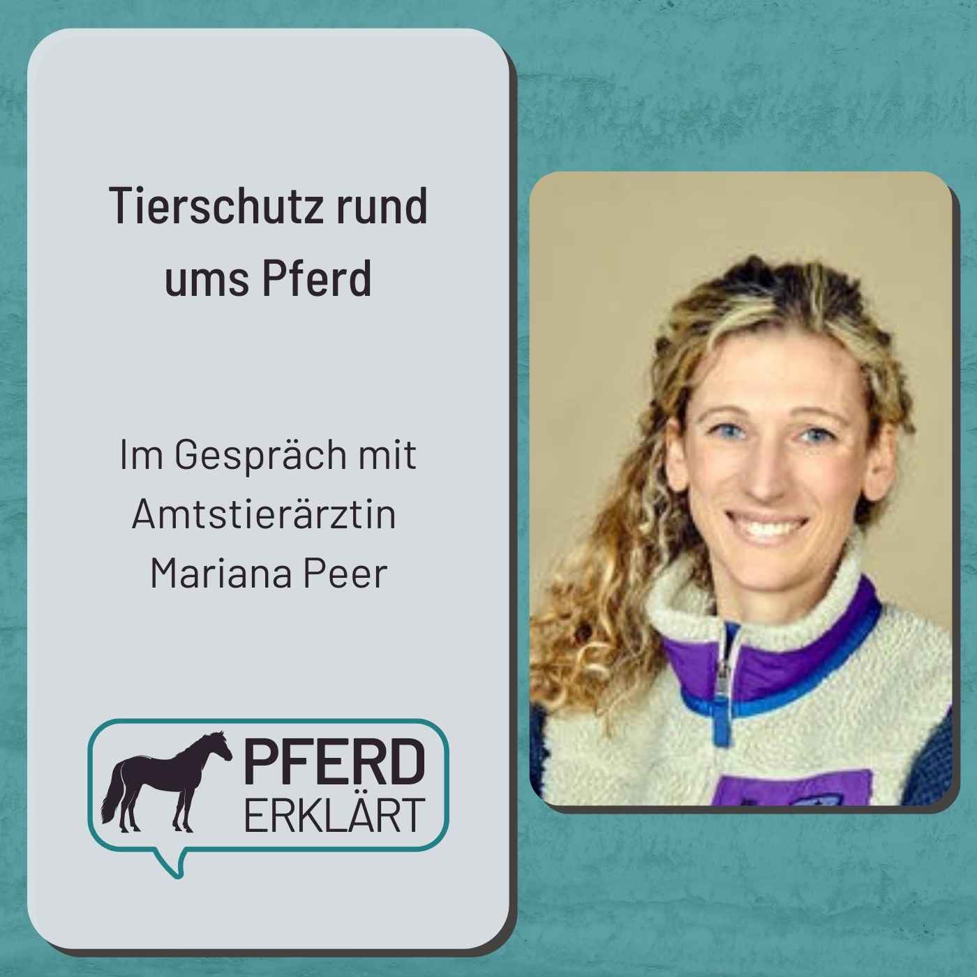 ⁣Tierschutz rund ums Pferd: Gespräch mit Amtstierärztin Mariana Peer