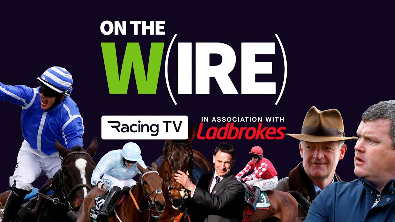 On The Wire | 2023 Galway Festival with Paul Townend, Ado McGuinness & Gavin Cromwell, plus full preview and tips