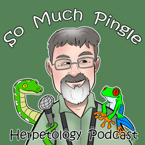 ⁣Episode 85:  Grass Snakes & Midwife Toads with Dr. Steven Allain