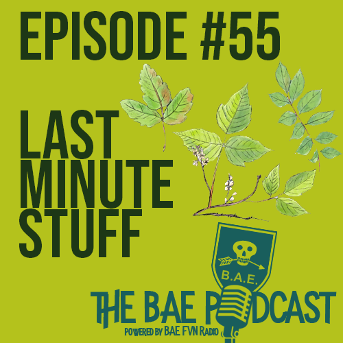 BAE Podcast 55 –  Last Minute Stuff