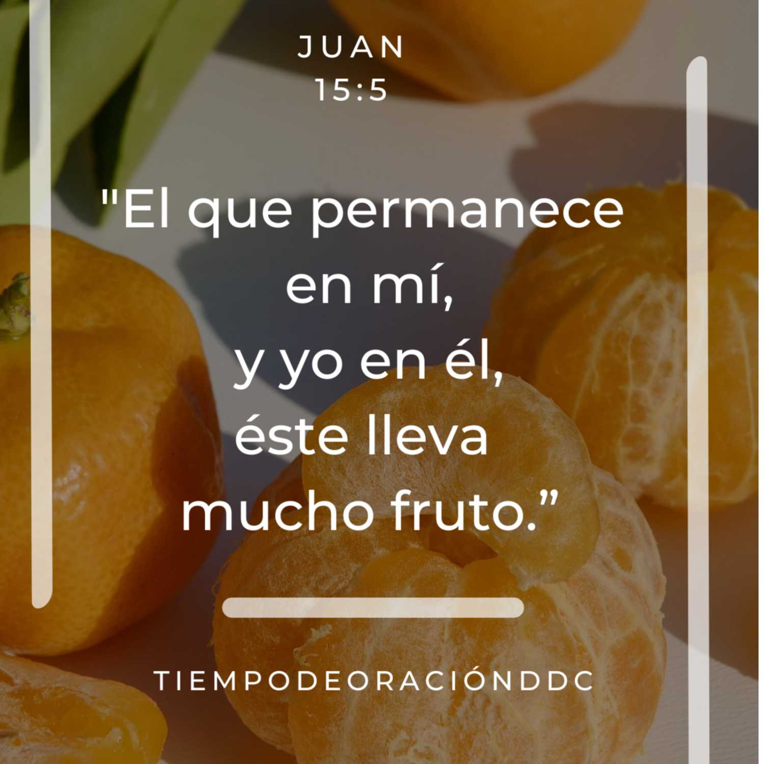 ¡Evidenciando el Fruto!