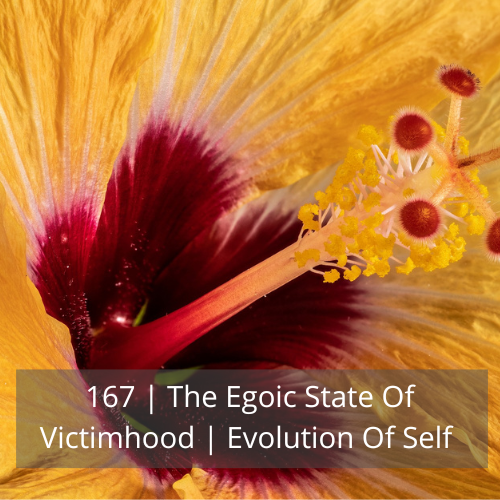 167 | The Egoic State Of Victimhood | Evolution Of Self