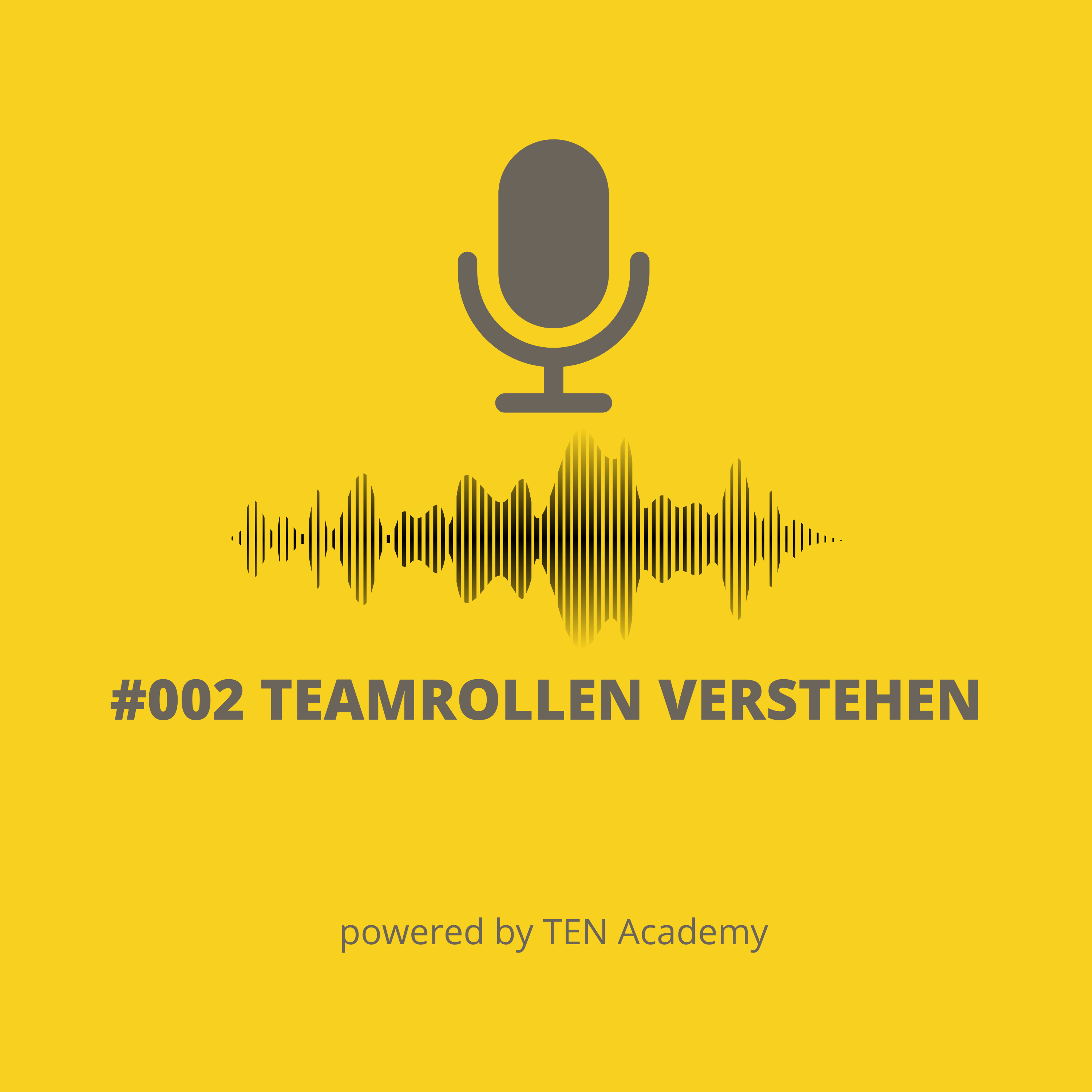 002 Teamrollen verstehen