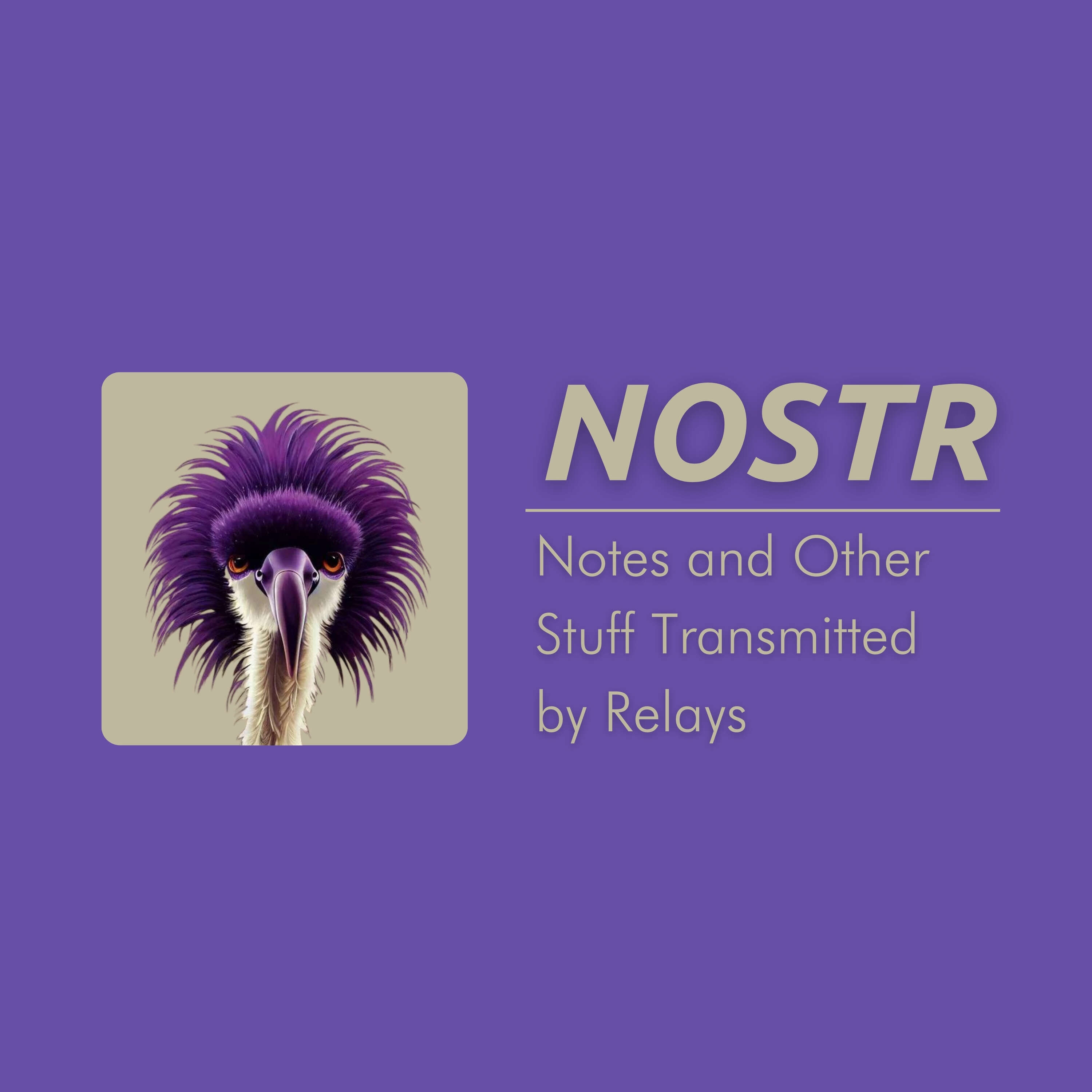 NostrDevs #5 with Super Testnet and Captain Stacks