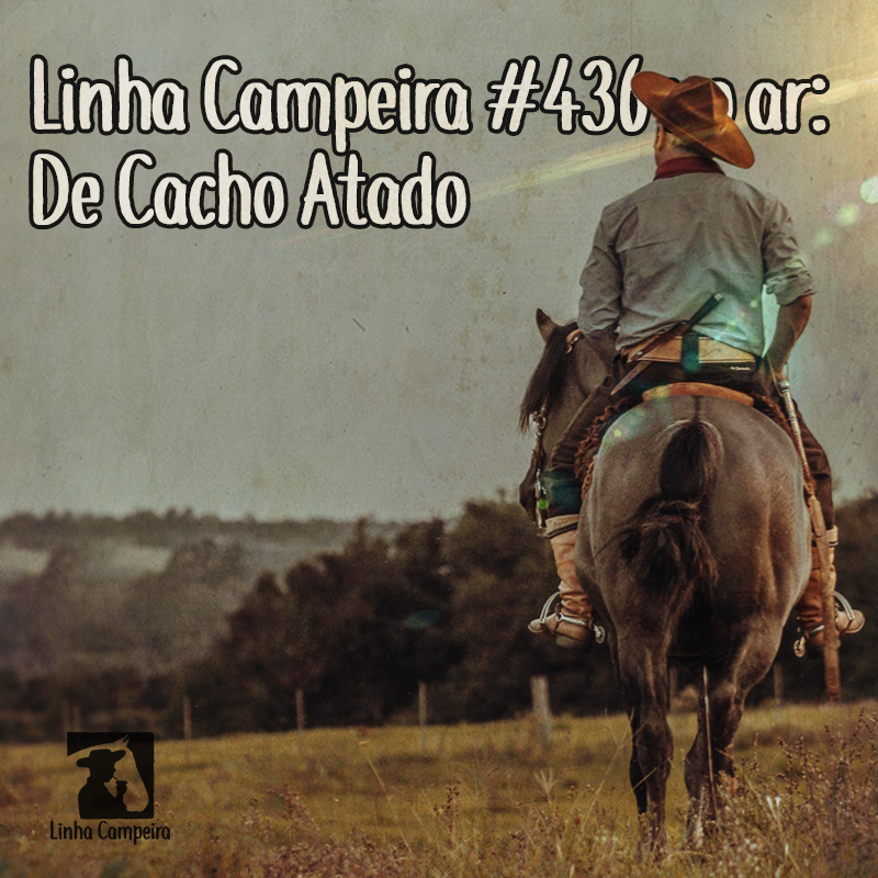 Programa #436 - De Cacho Atado