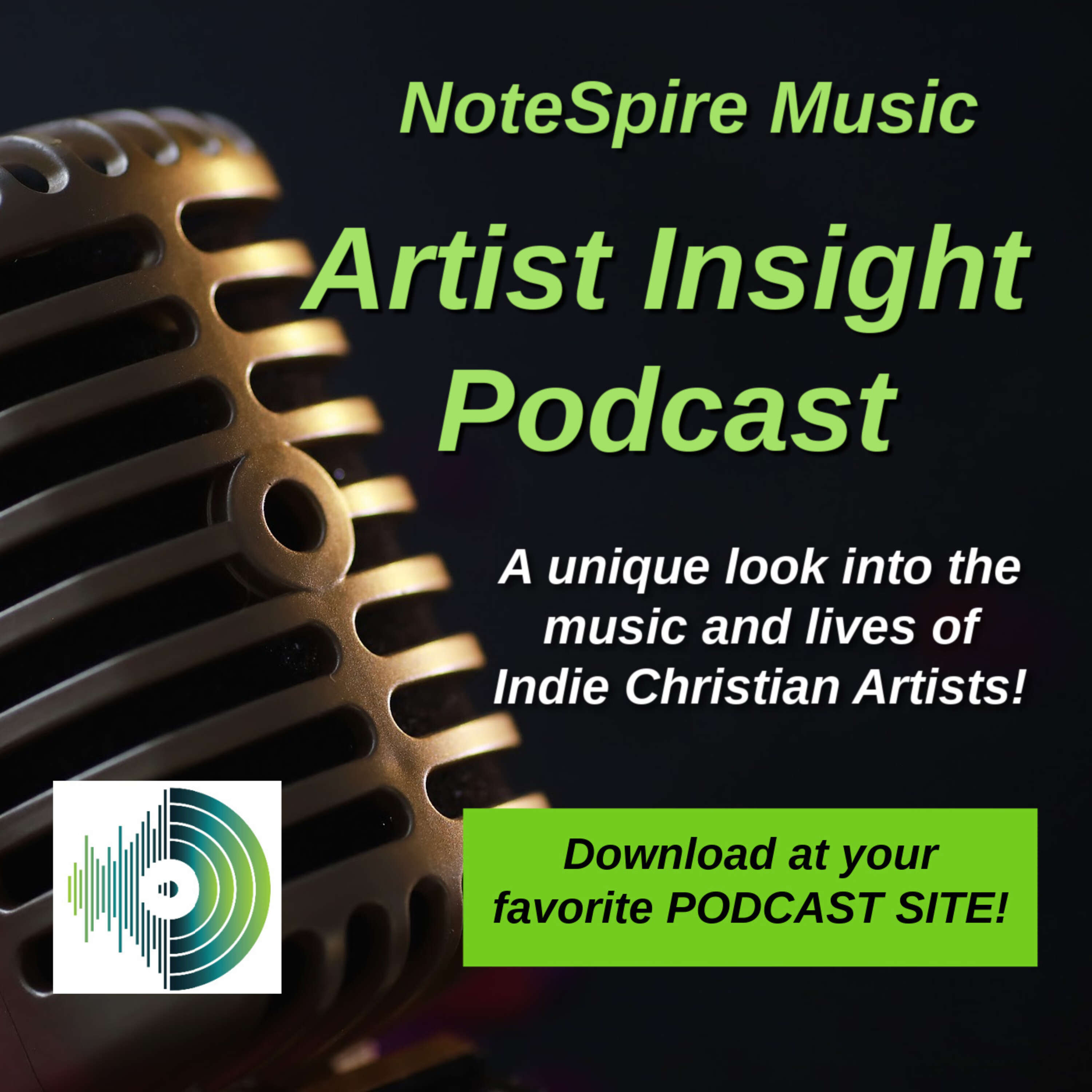 The Artist Insight with guest CHSN