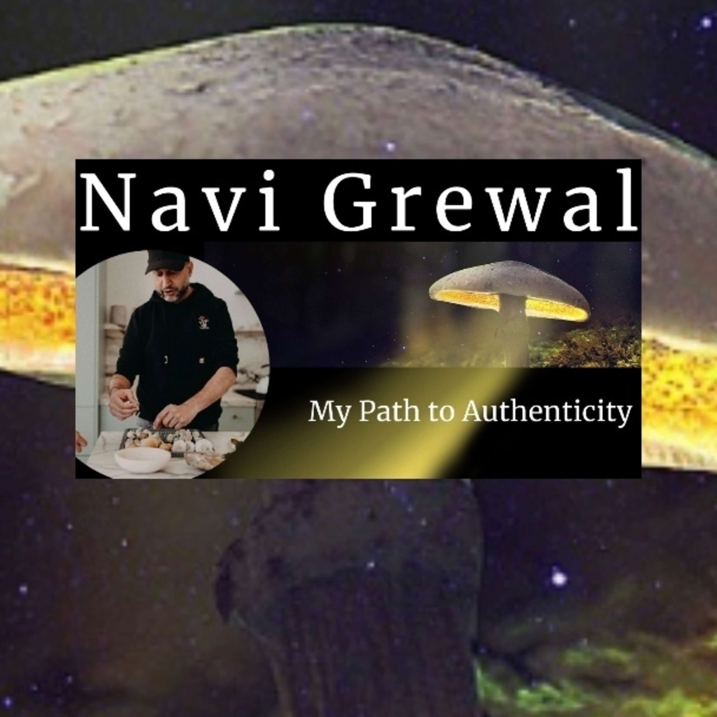 ⁣Navi Grewal - The Path of the Righteous Man