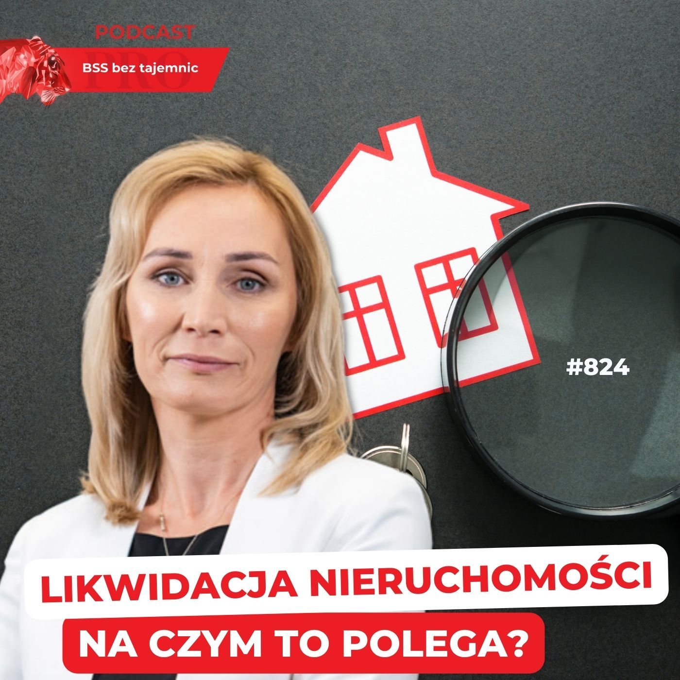 #824 Na czym polega likwidacja nieruchomości?