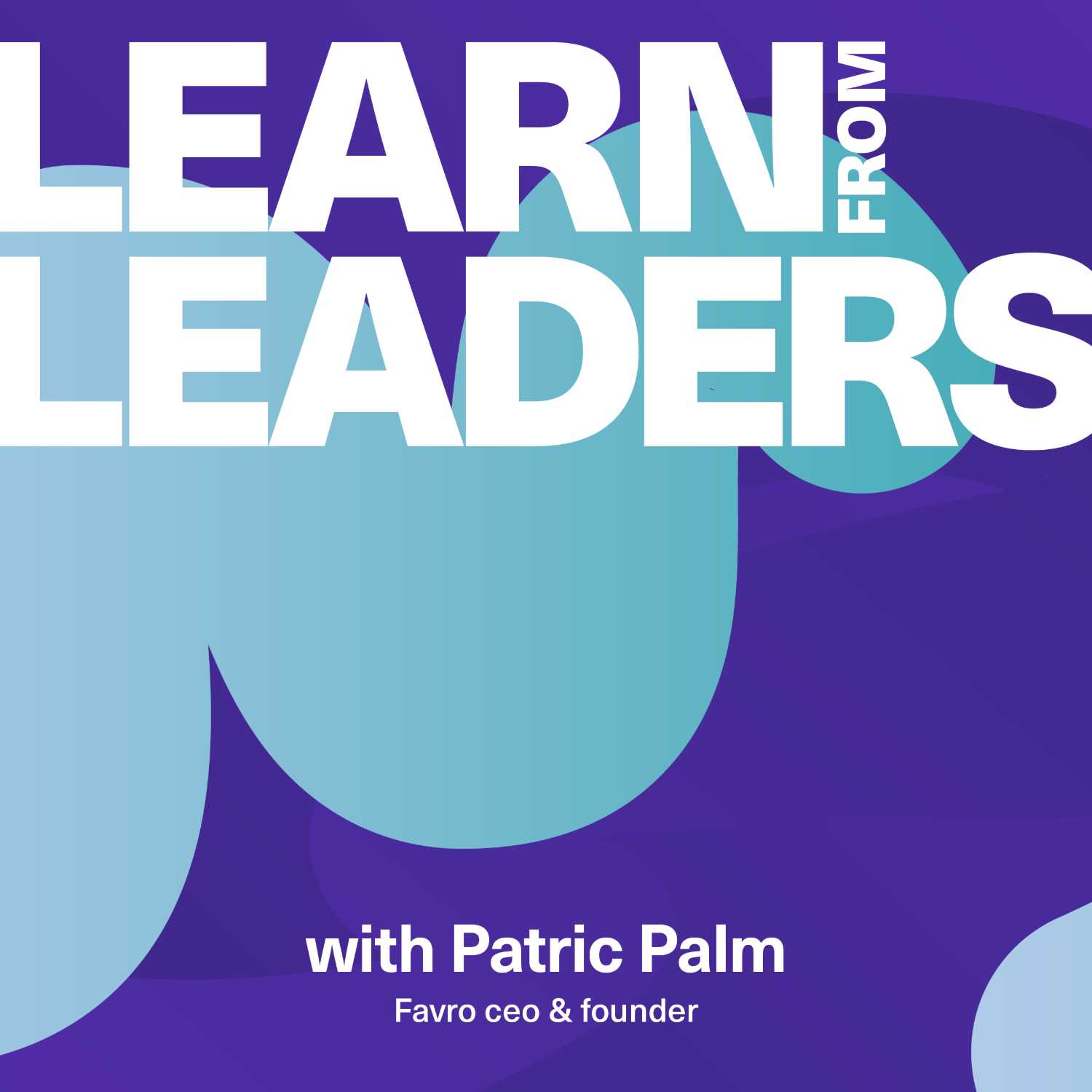 Learn from Leaders Podcast 