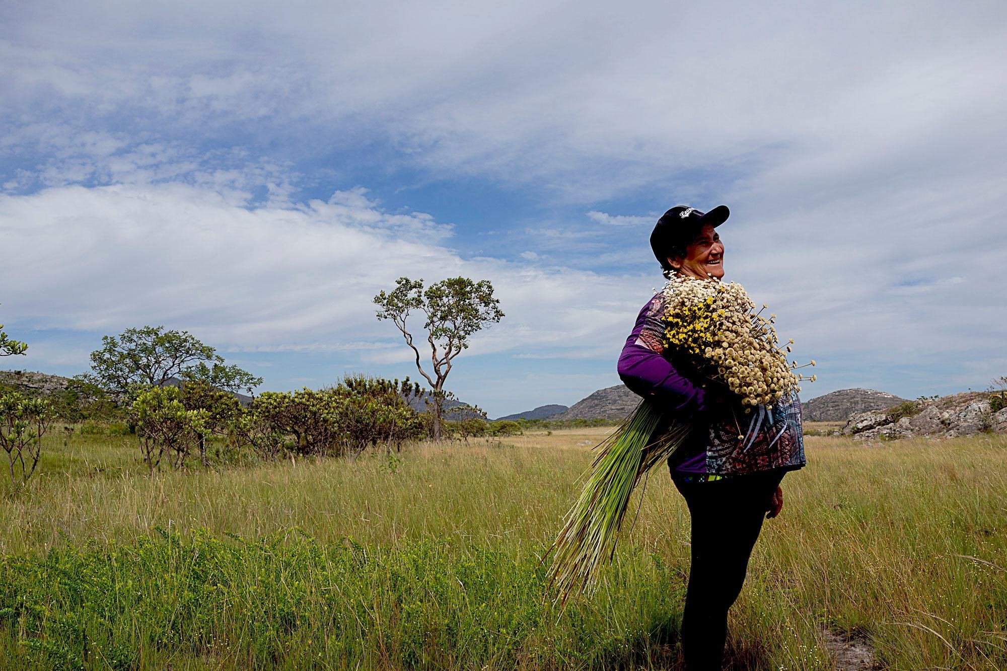 Projeto de Fundo Agrícola da ONU investirá US$ 900 milhões no Brasil