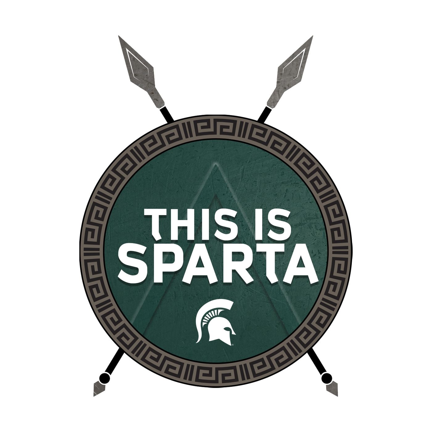 Former MSU QB Brian Hoyer | This is Sparta MSU! #94