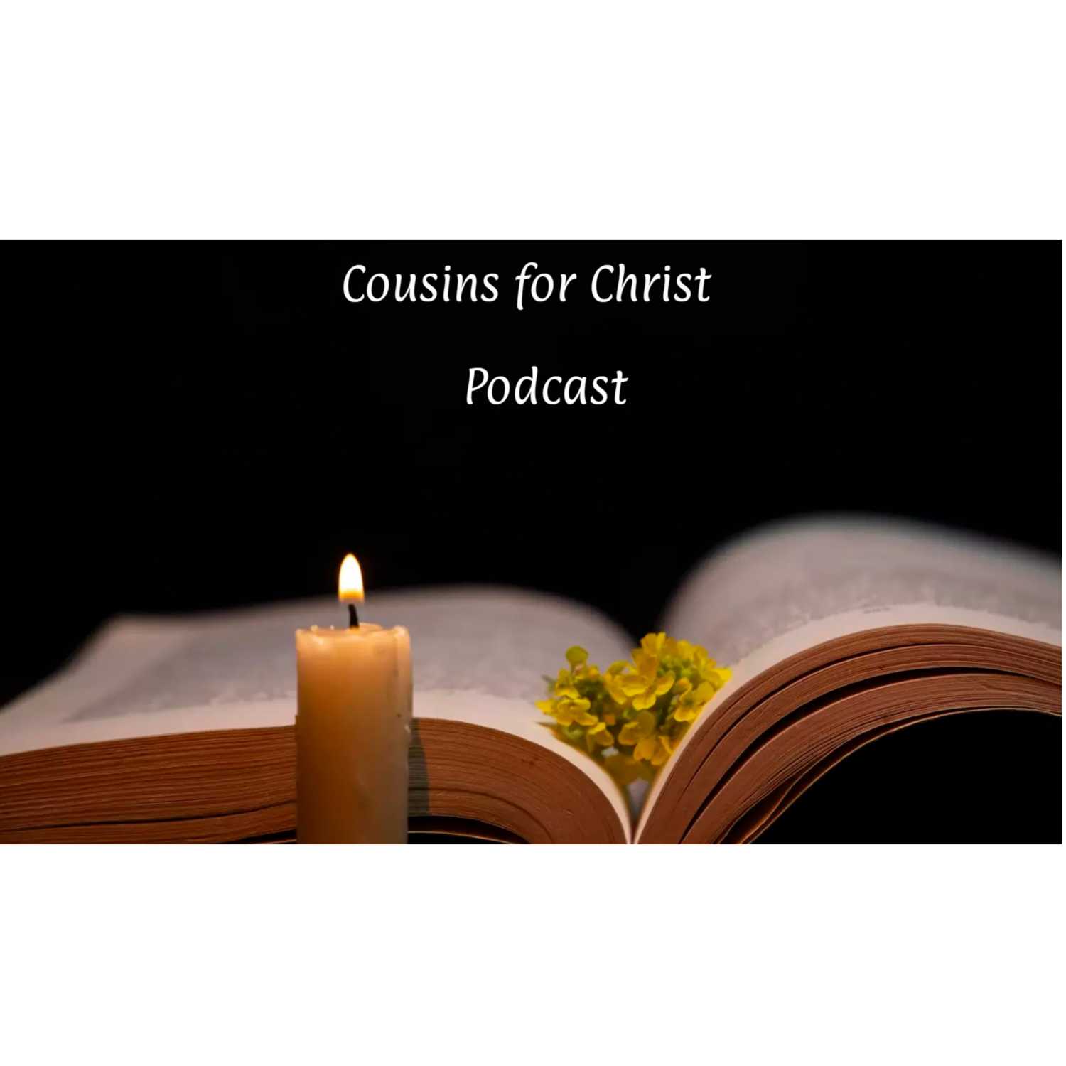 Cousins for Christ #4