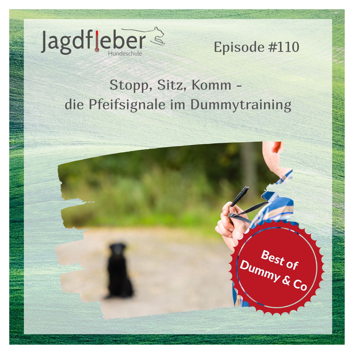 P110: Best of Dummy & Co - Stopp, Sitz, Komm - die Pfeifsignale im Dummytraining