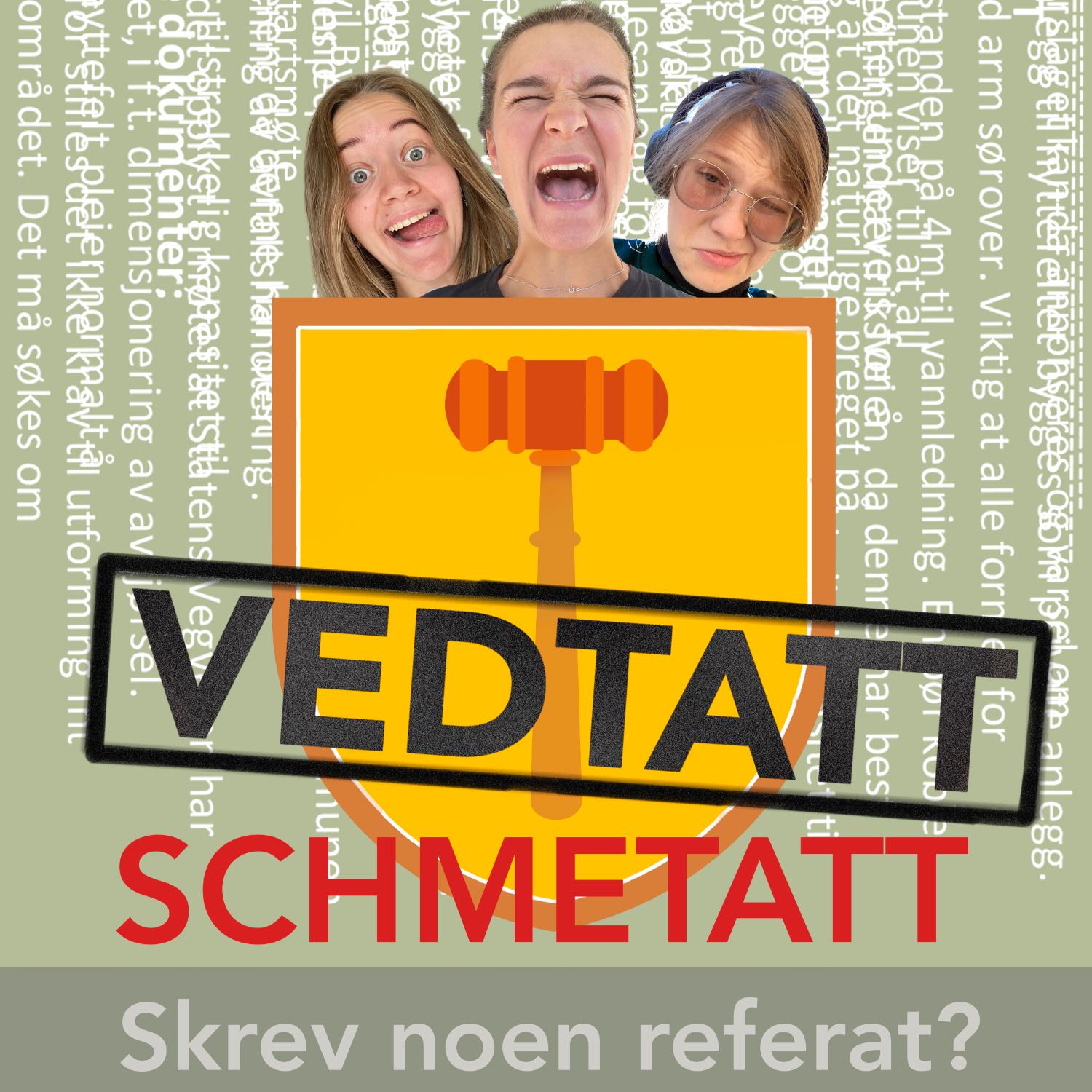 Vedtatt Schmetatt- skrev noen referat? 