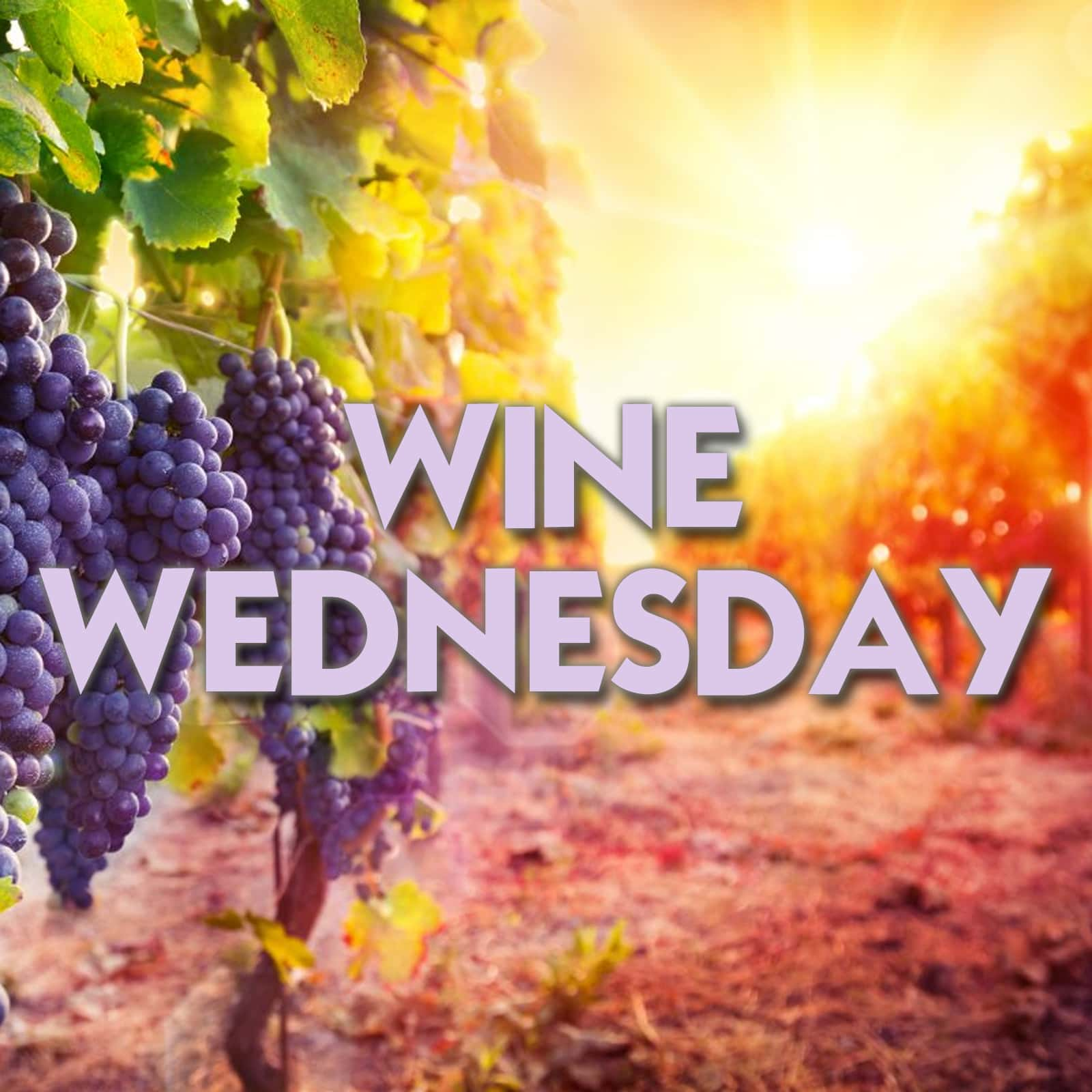 Wine Wednesday 7/19/23