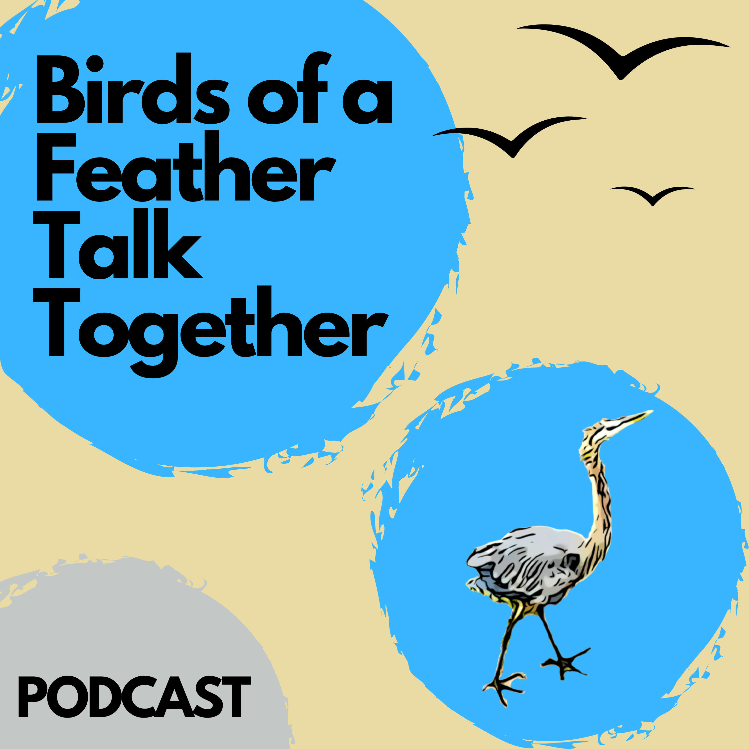 Episode 10: The Northern Cardinal