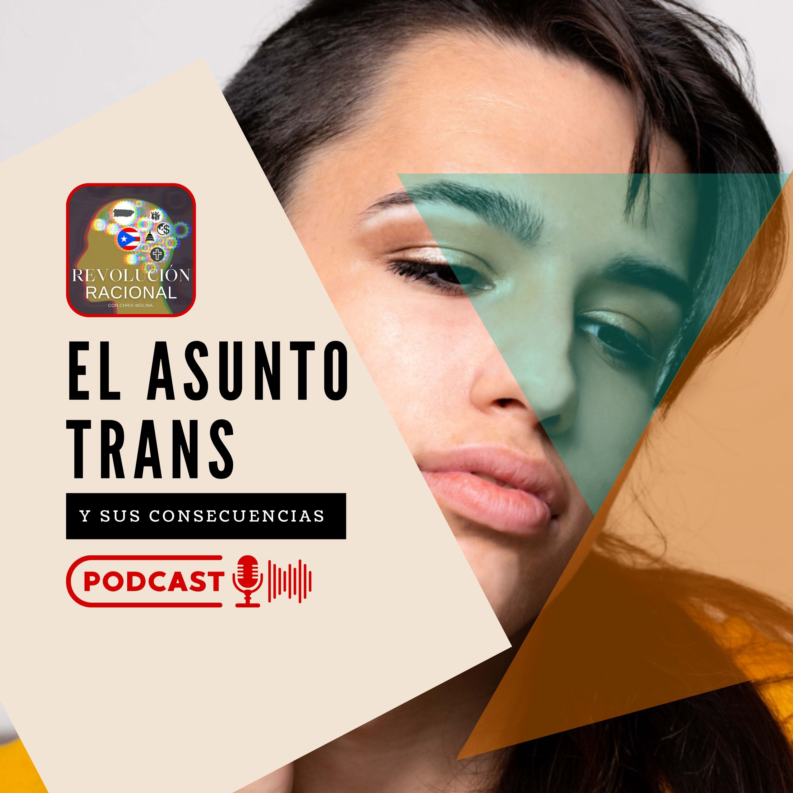 El Asunto Trans y sus Consecuencias