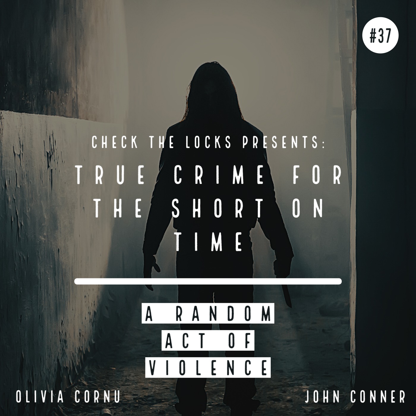 True Crime for the Short on Time: A Random Act of Violence