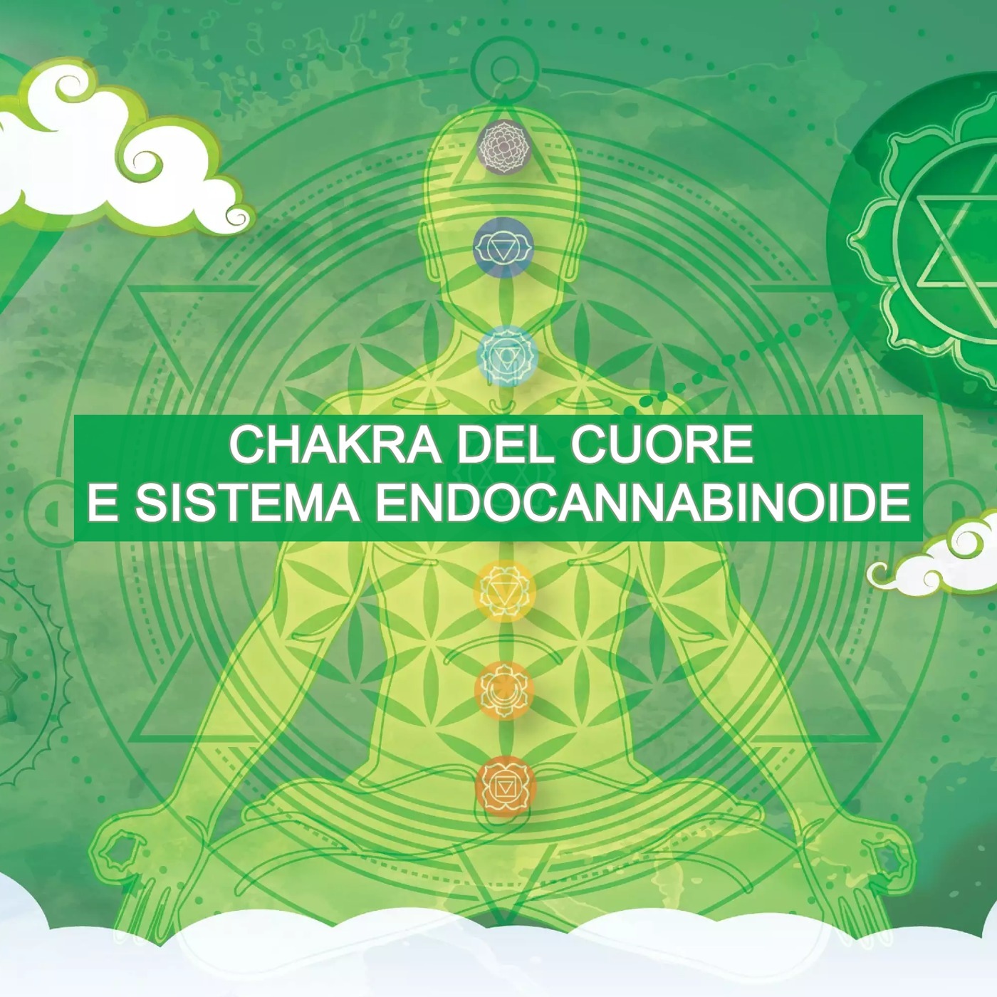 ⁣Sistema endocannabinoide e chakra del cuore - Meditazione Guidata