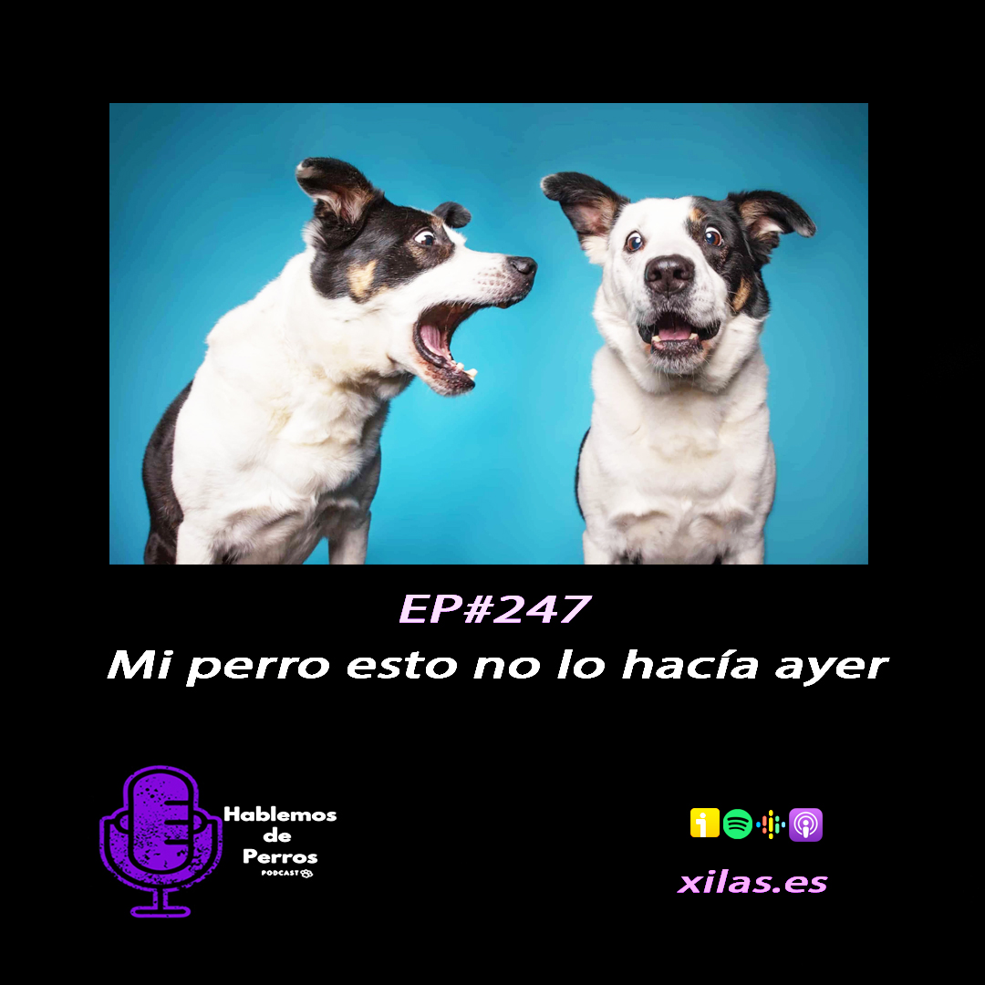 Episodio #247: Mi perro esto no lo hacía ayer