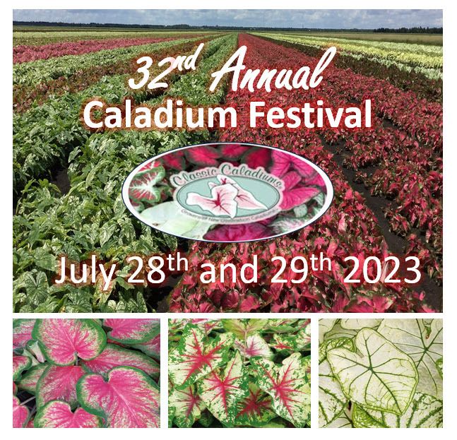 Better Lawns and Gardens - Hour 1 Clay Wallace Caladium Festival July 15, 2023