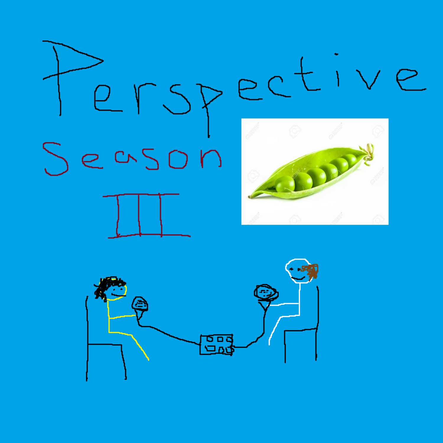 Perspective Podcast Episode 26 - All Things Kayla Seibert