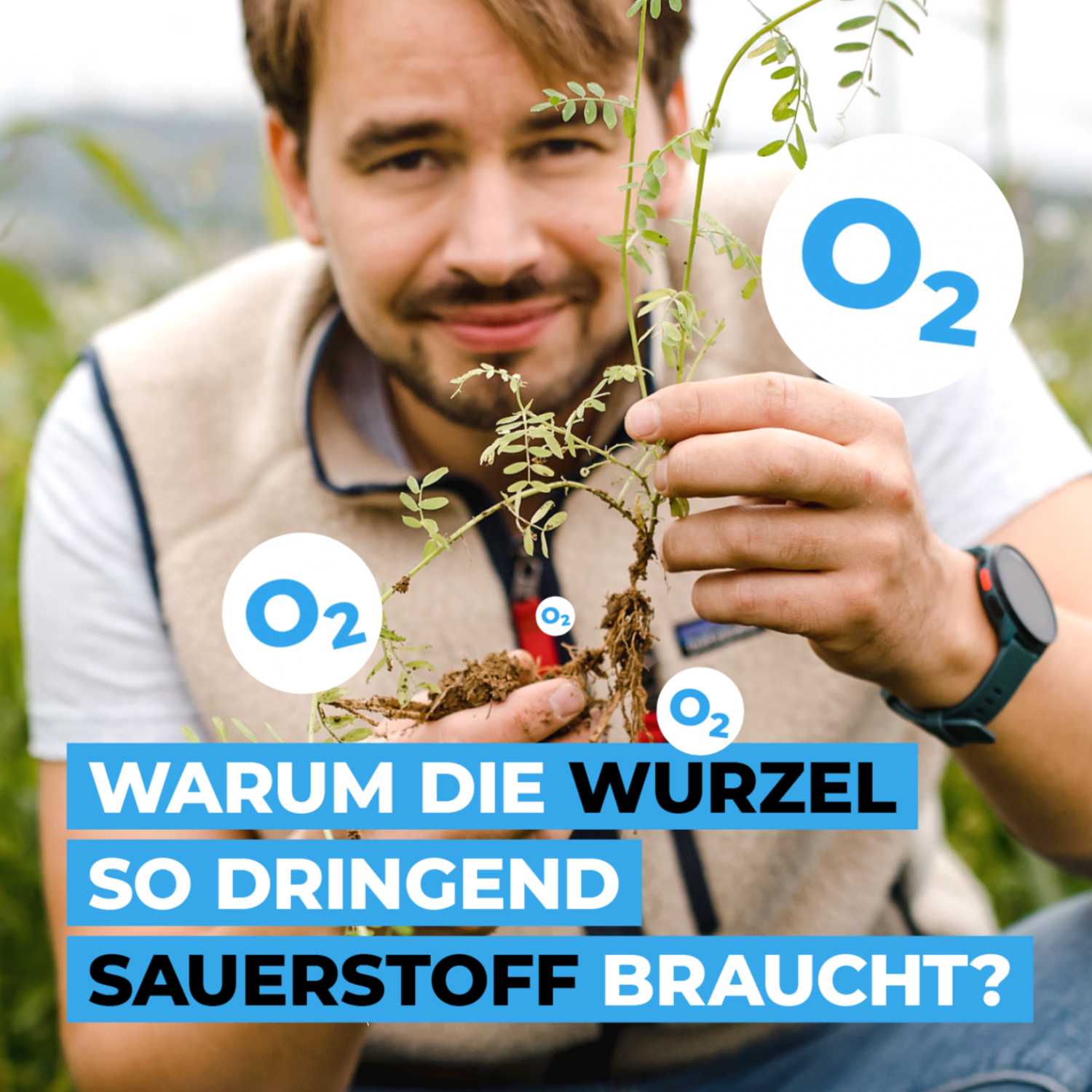 Warum die Wurzel so dringend Sauerstoff braucht?