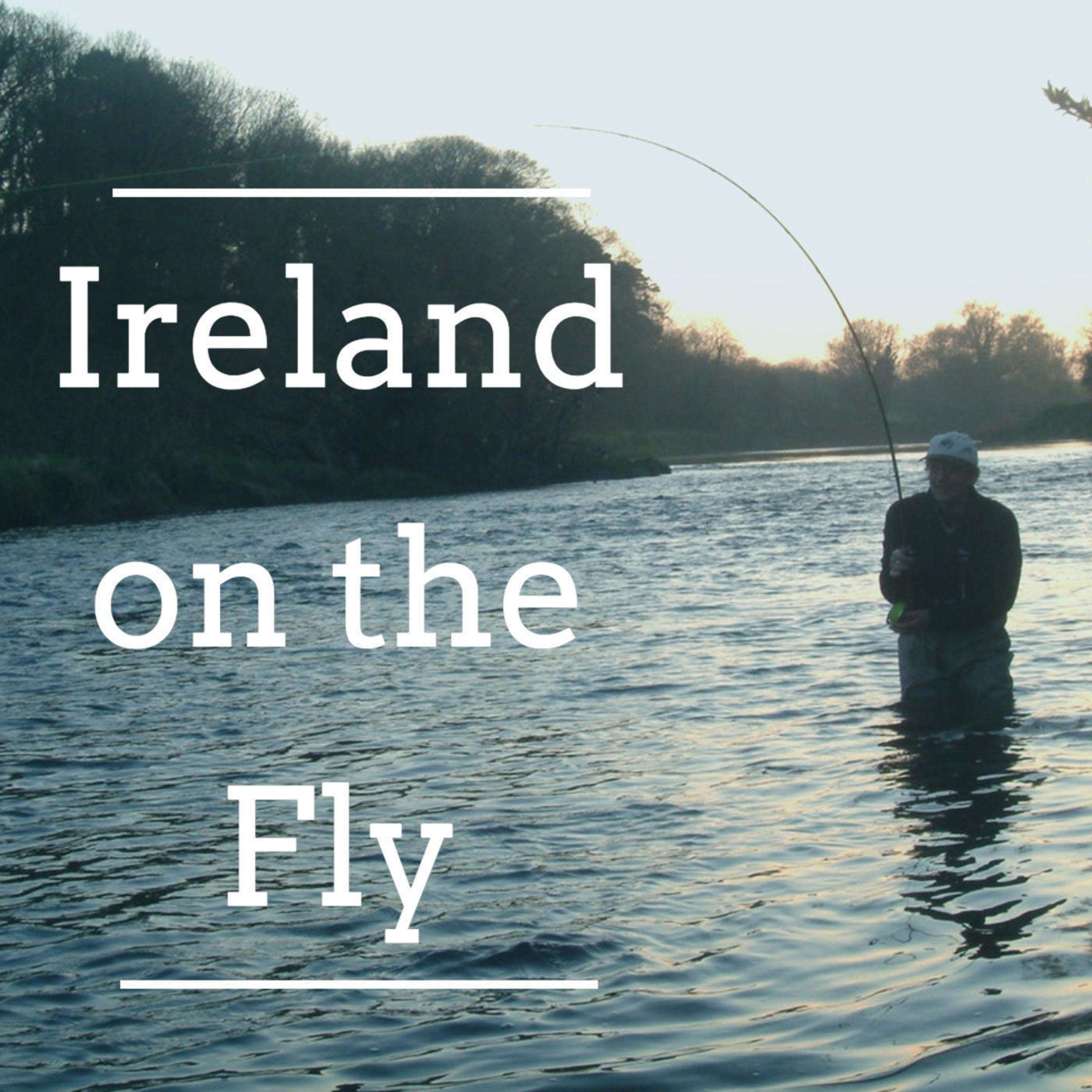 Ireland on the Fly 