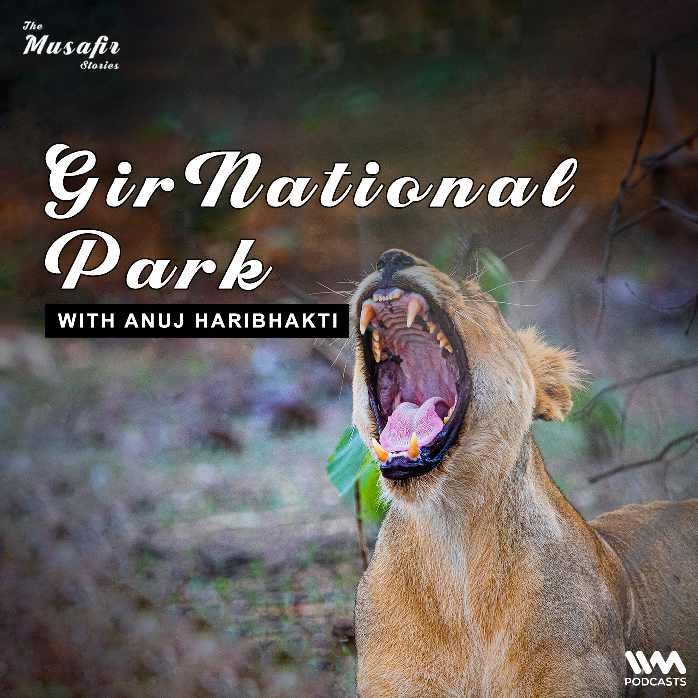 ⁣Gir National Park with Anuj Haribhakti