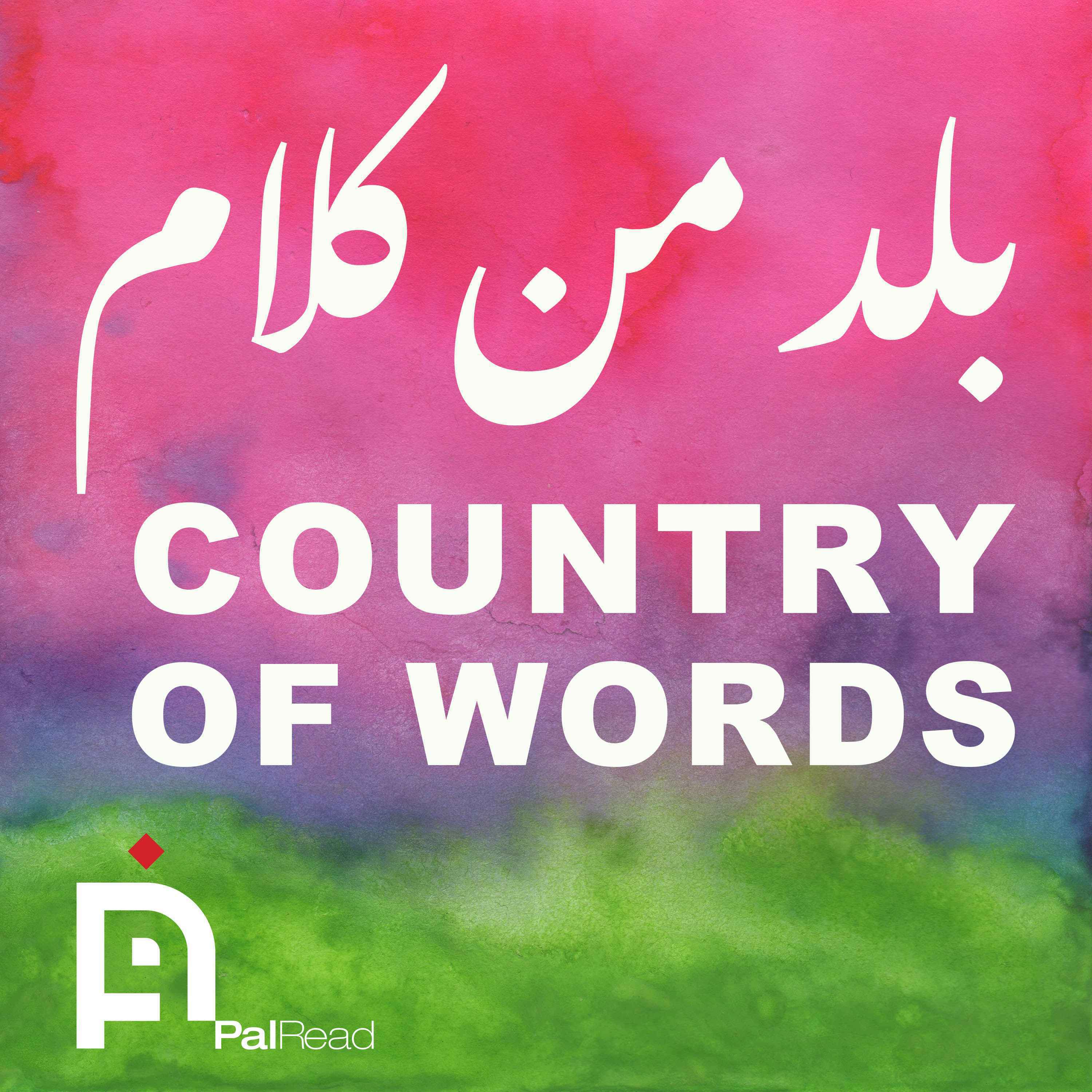 Country of Words: Conversations on Palestinian Literature 