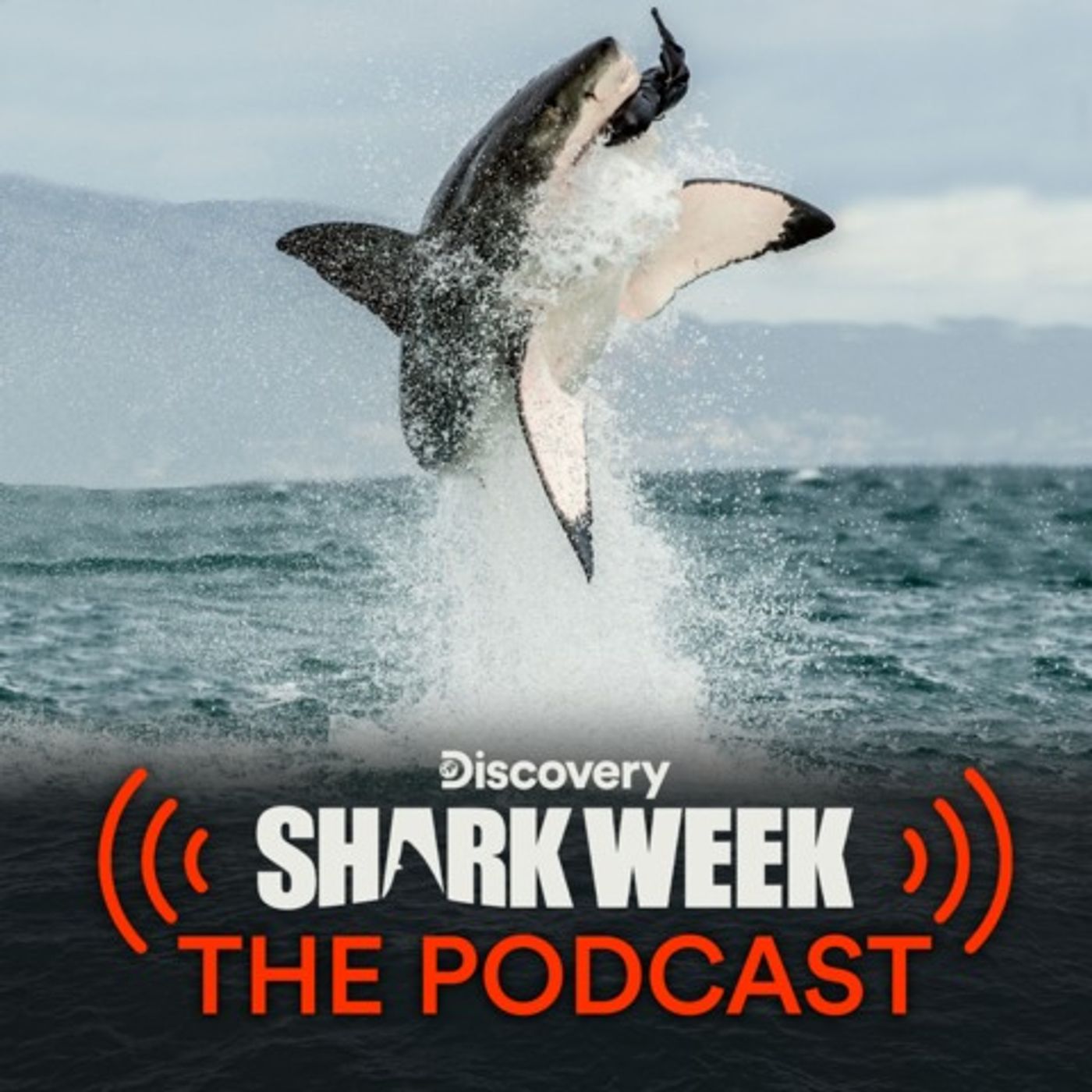 S4 Ep.2: How Shark Fishing Funds Human Trafficking - Ian Urbina